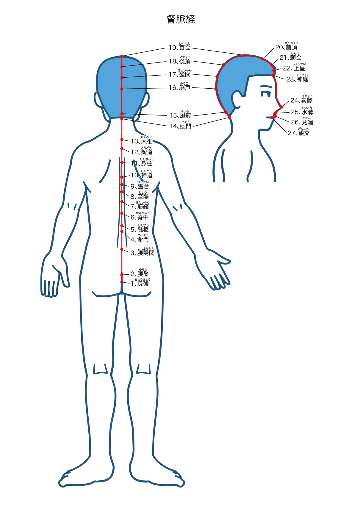 男性更年期 改善方法 ~テストステロン低下とEDを東洋医学、任脈督脈から読み解く~|伊勢谷ユキオ@男性機能専門鍼灸師