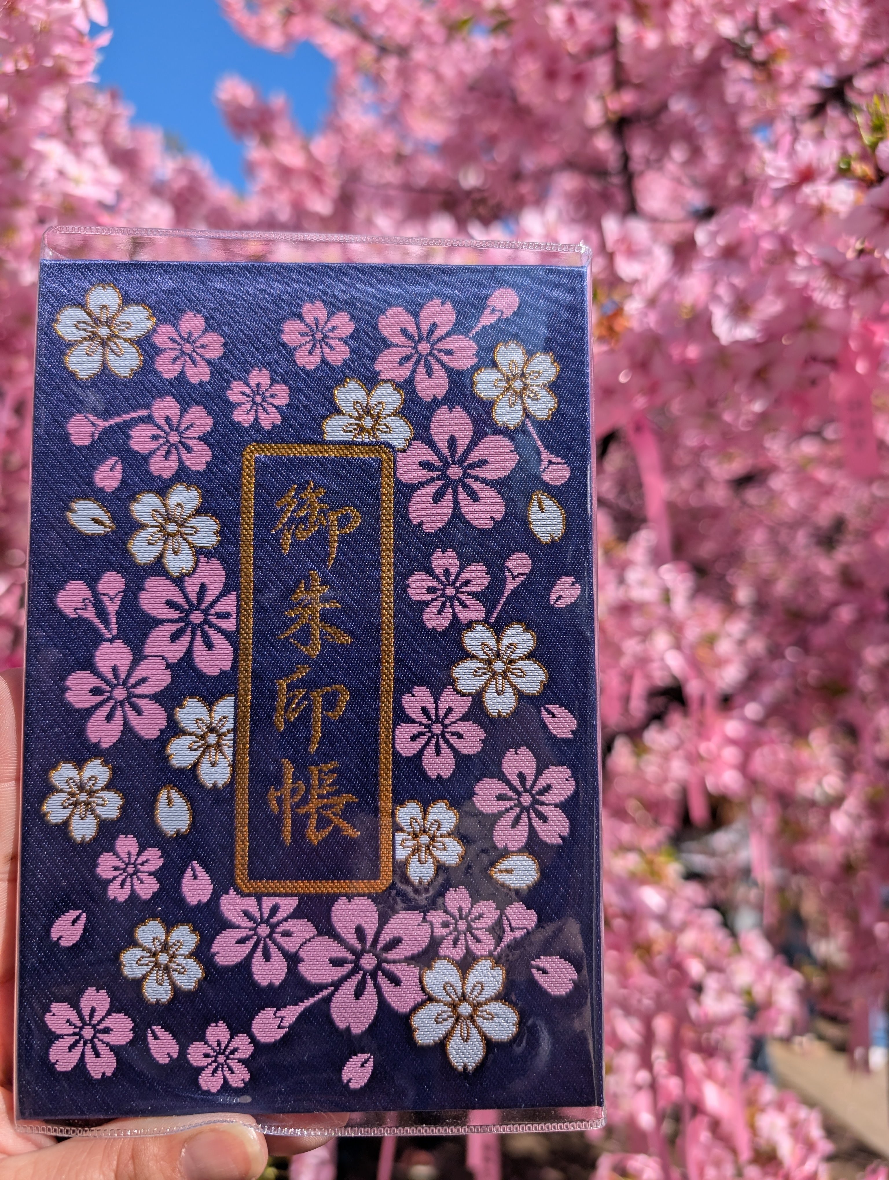 🌸⛩️初参拝🌸桜神宮👩‍❤️‍👨⛩️🌸｜もっちゃん🔮🐇