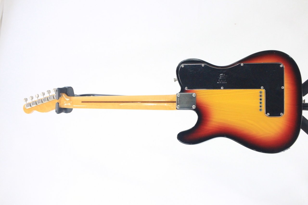 Cat's Eyes に捧ぐ｜Taka