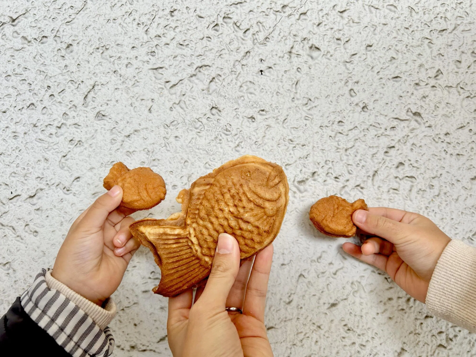 新居浜市】朝食にもおすすめ 今までにないフワフワ生地の、めで「鯛