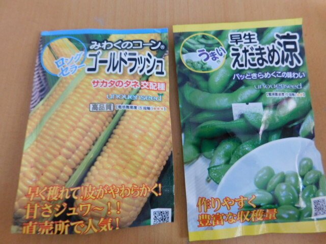 菜園だより/タネまきにゃん！｜なんでもアリ子