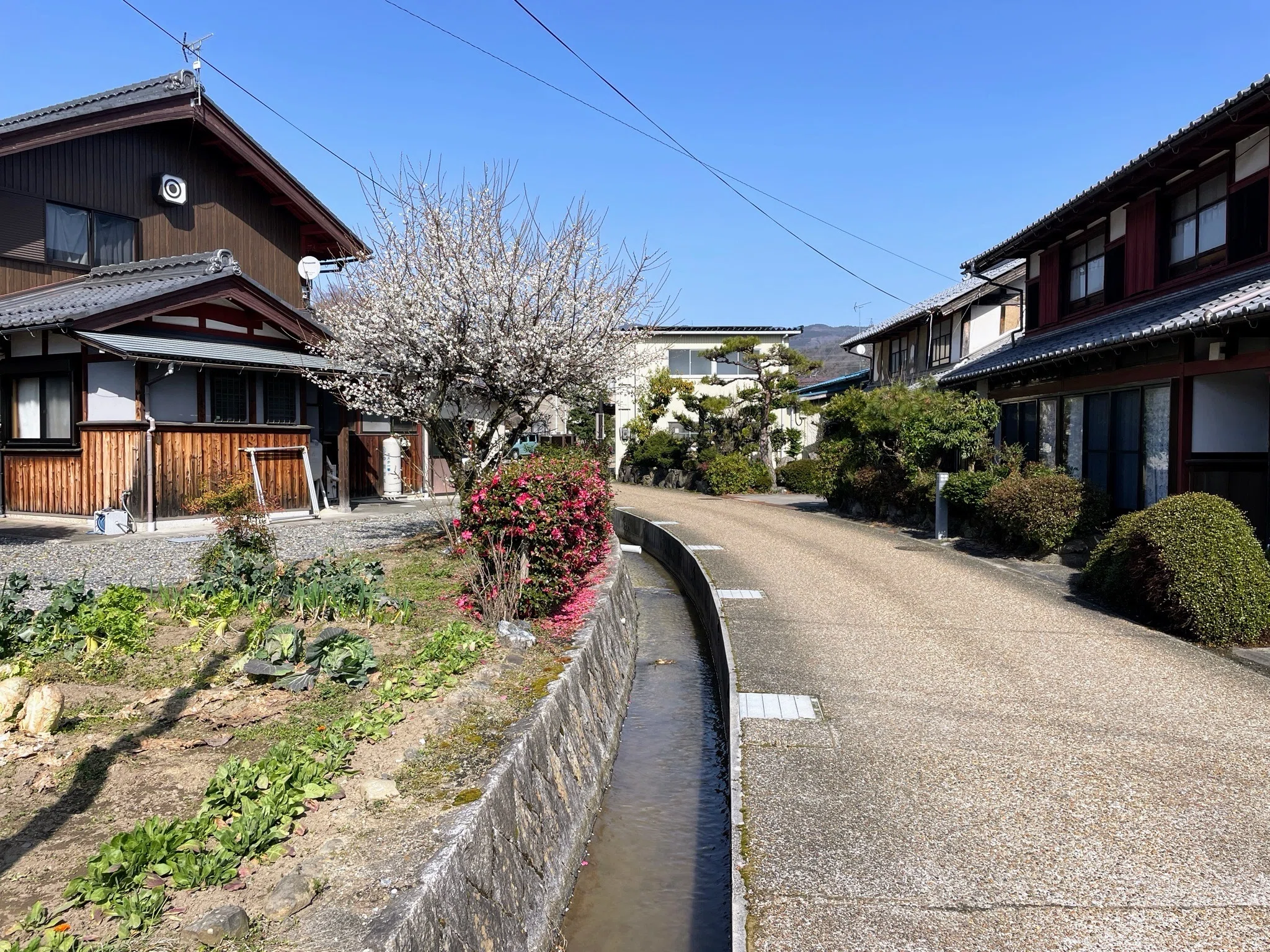 展覧会レポート】 富岡鉄斎が描いた風景画の軌跡 ／高月観音の里歴史