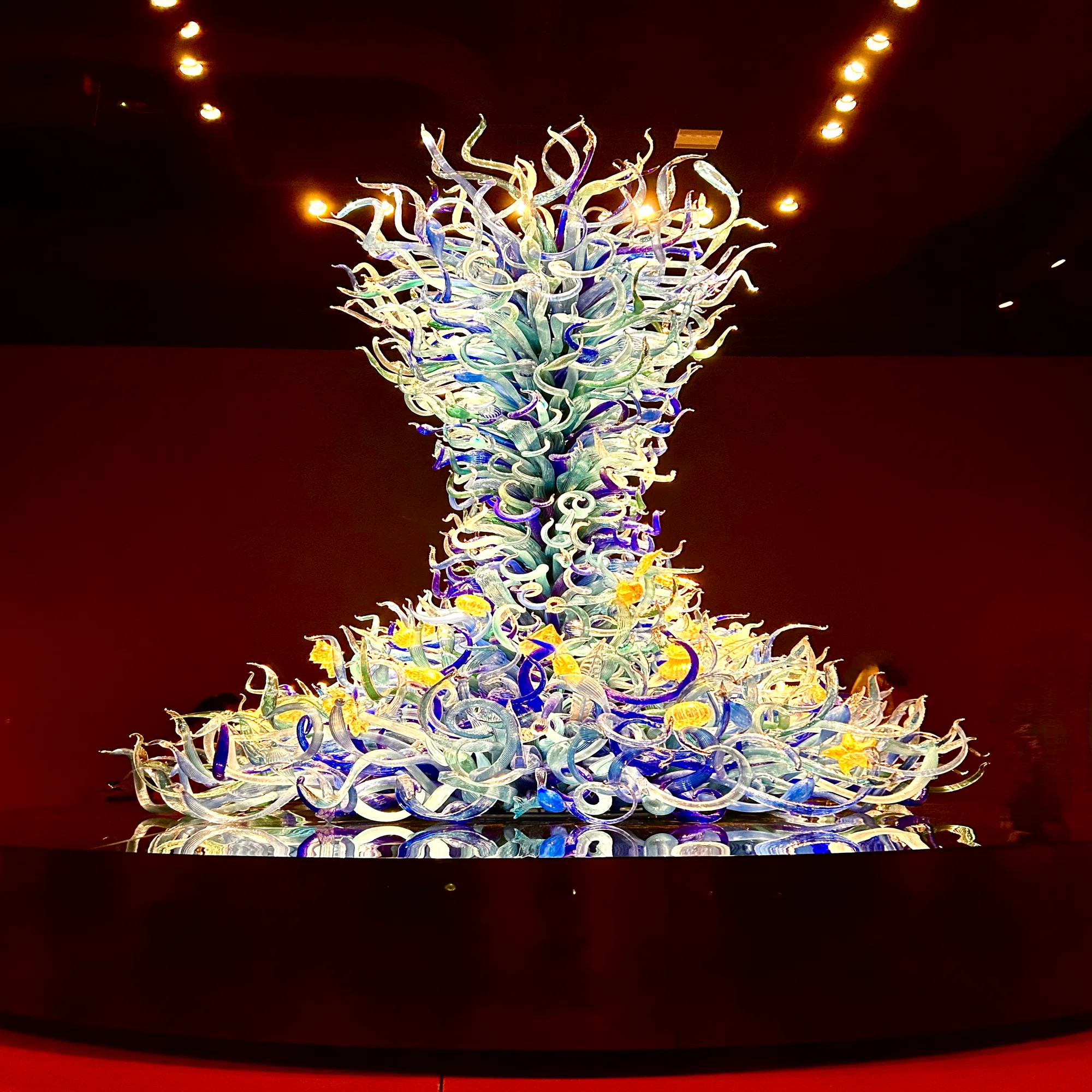 シアトル観光の定番！Chihuly Garden and Glassで光のアート体験｜ぽや