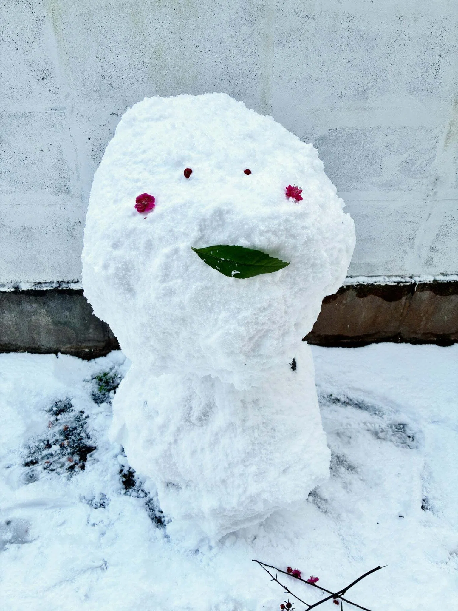 しまね女子ブログ】雪の日に気づいた、私流・島根暮らしの楽しみ方と