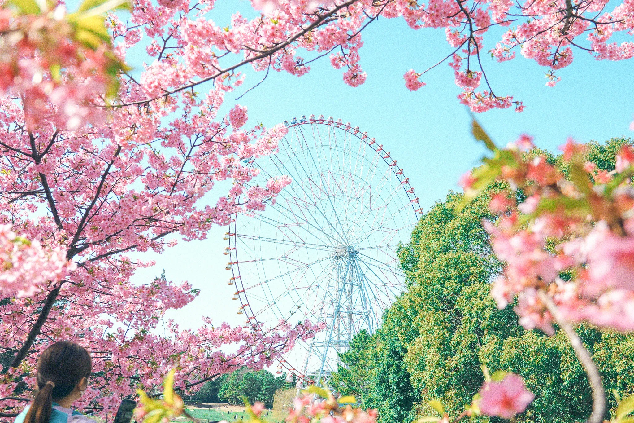 葛西臨海公園｜LUMIX S9｜架見あき