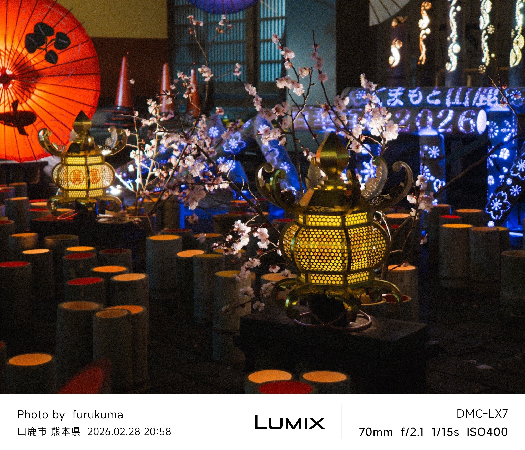 山鹿灯籠浪漫・百華百彩2026 #6 | LUMIX LX7｜furukuma