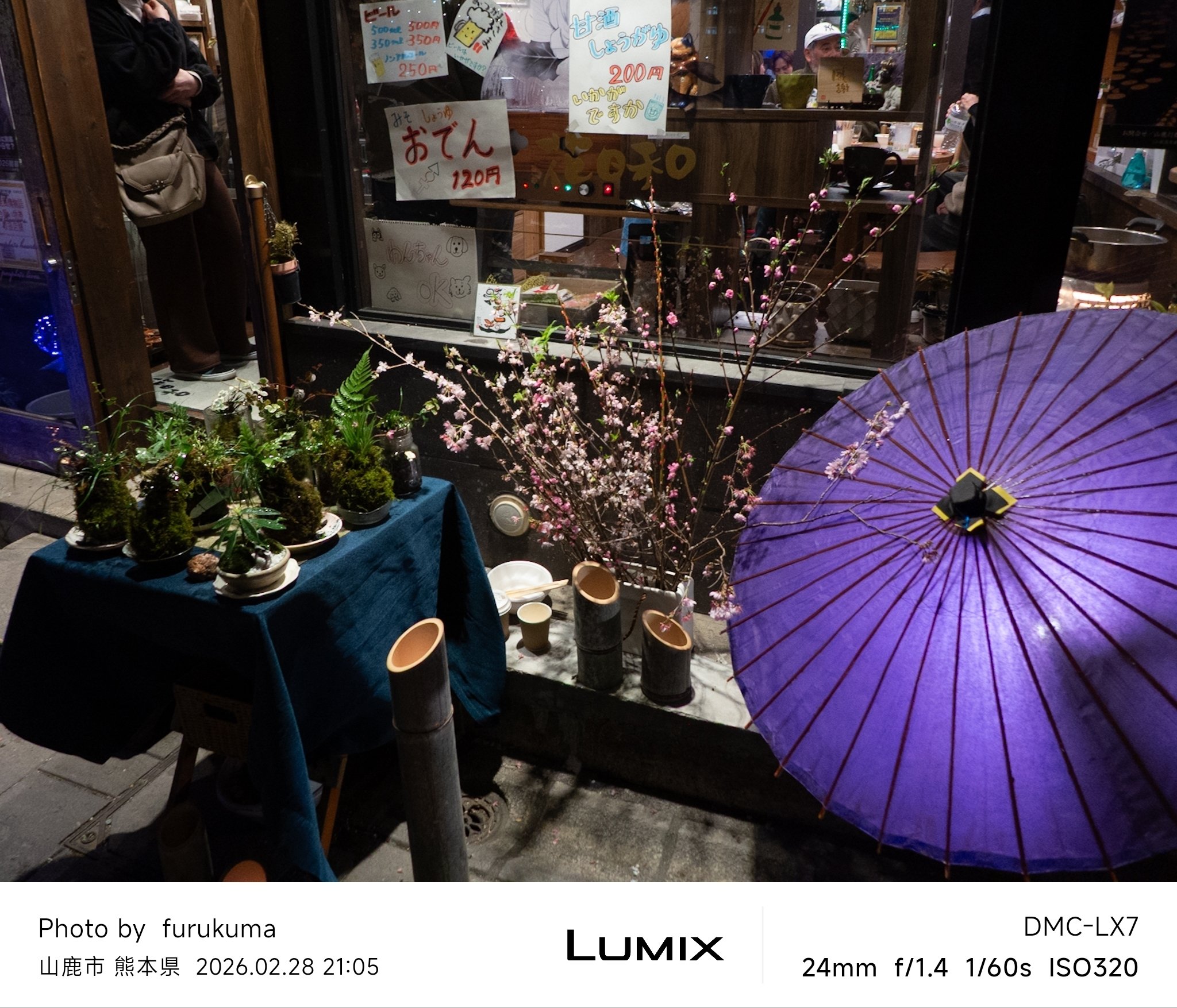 山鹿灯籠浪漫・百華百彩2026 #6 | LUMIX LX7｜furukuma