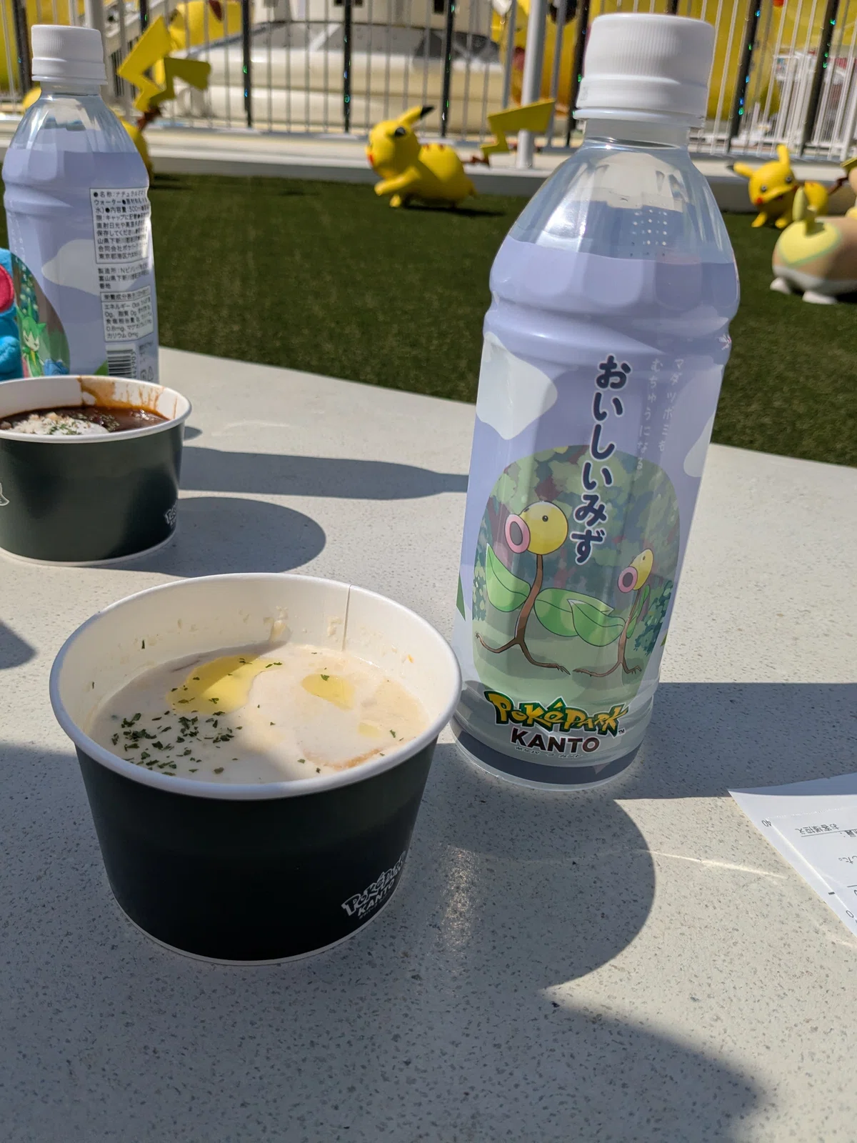 お前はポケパークカントーに行け｜しらいし