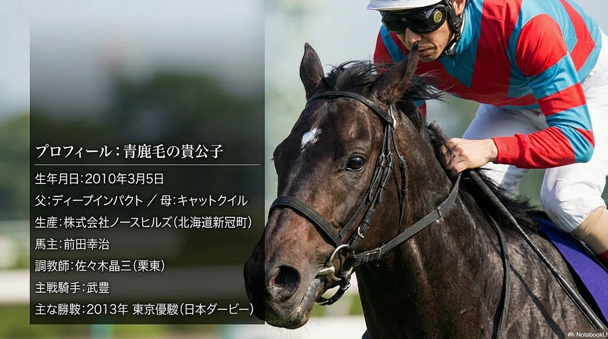 キズナ ―東日本大震災がきっかけで名付けられた名馬の軌跡―｜ハサミ