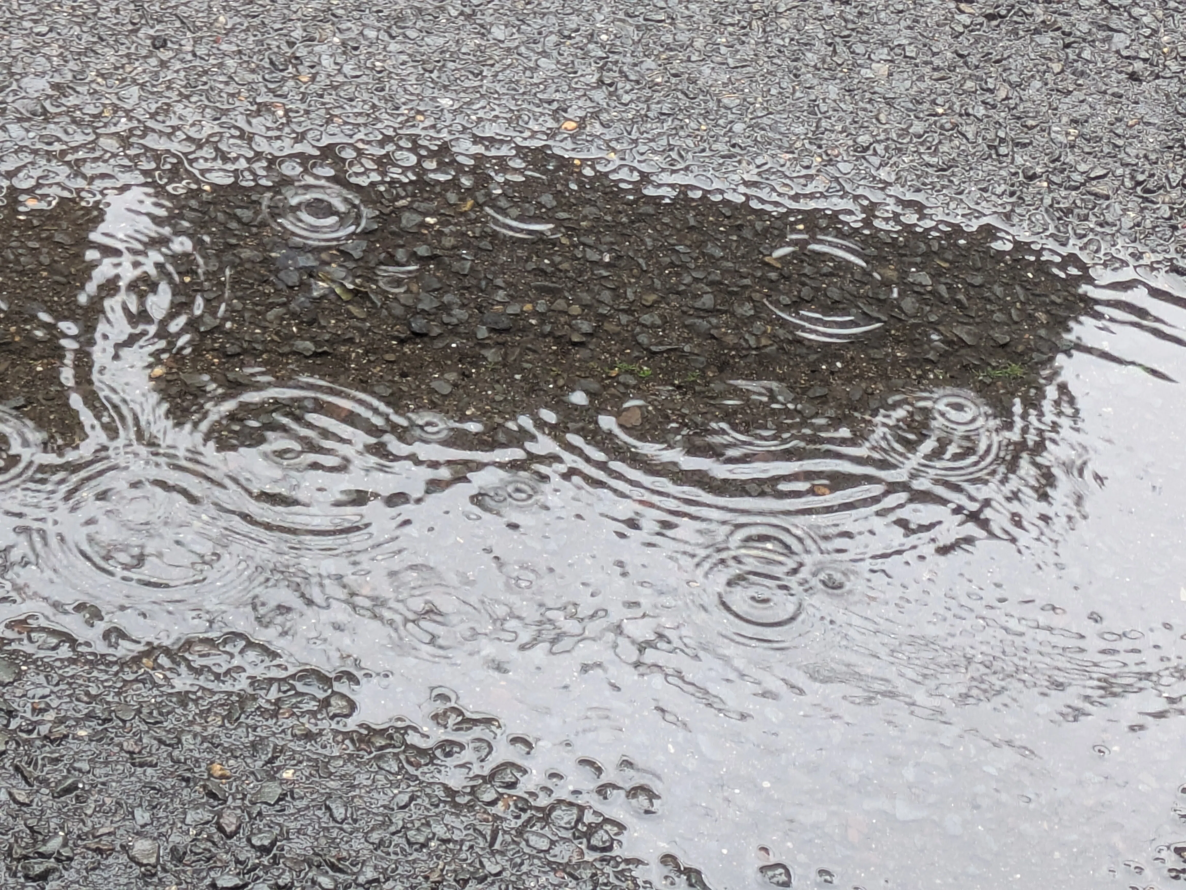 一枚の画像〜雨の朝｜ichiro70
