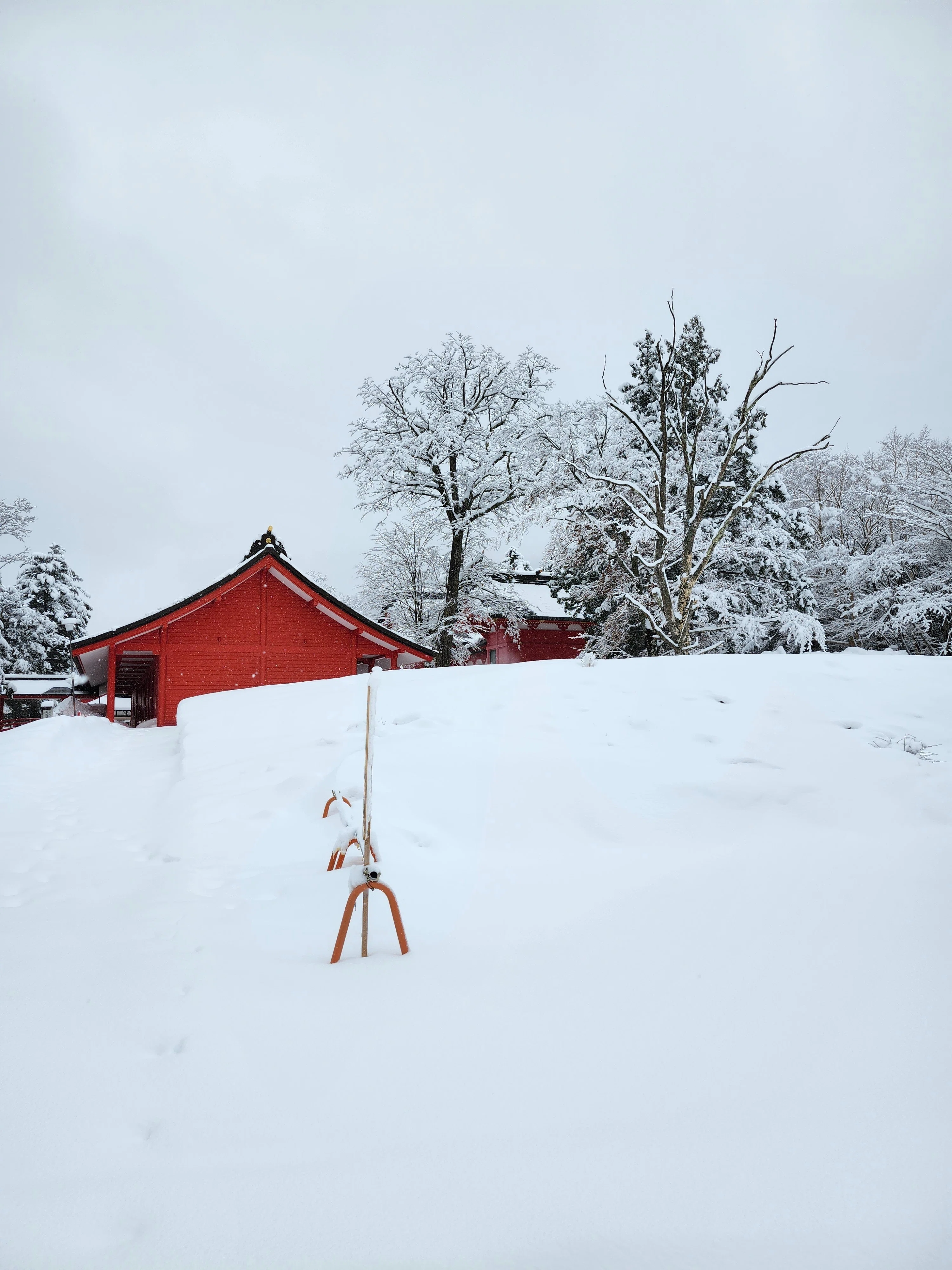 群馬旅行 前橋編2 ワタシは群馬をナメていた。赤城山は壮絶な雪世界