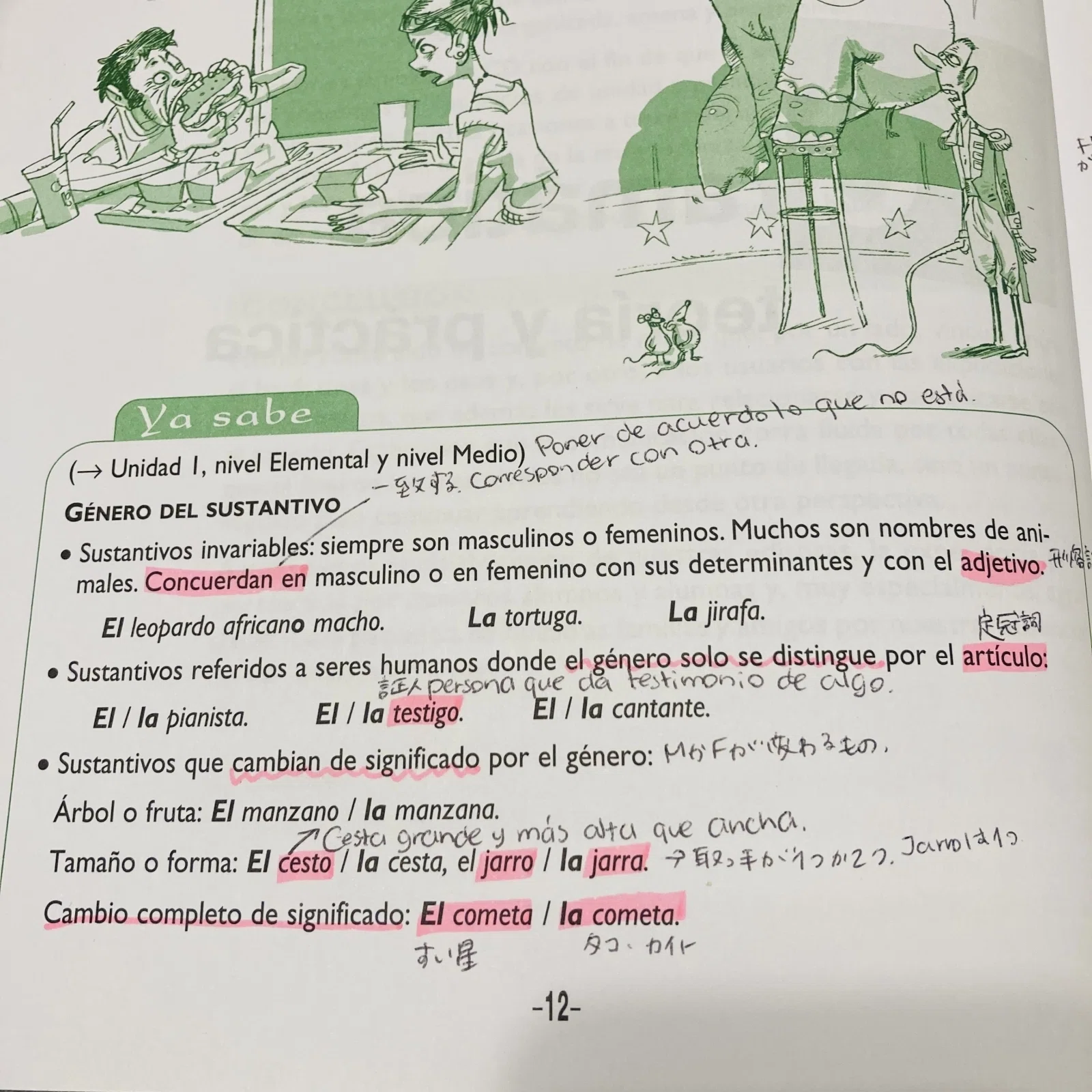 Great value for everything] A Spanish grammar exercise book you