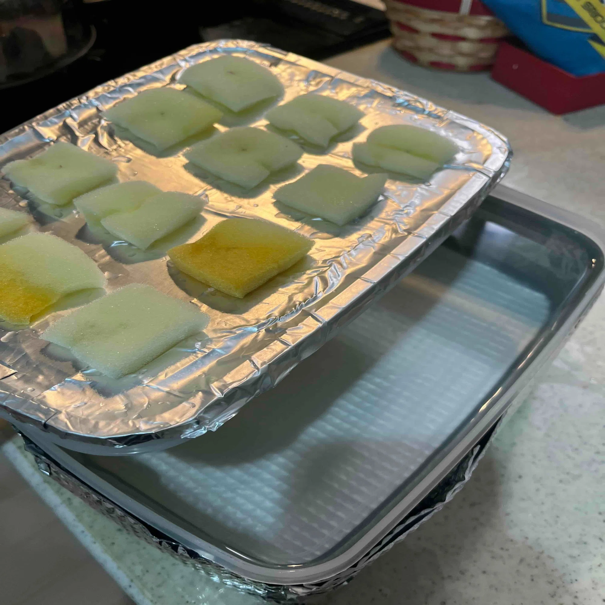 100均アイテムで水耕栽培キットを作ってみた（初心者でもできました 