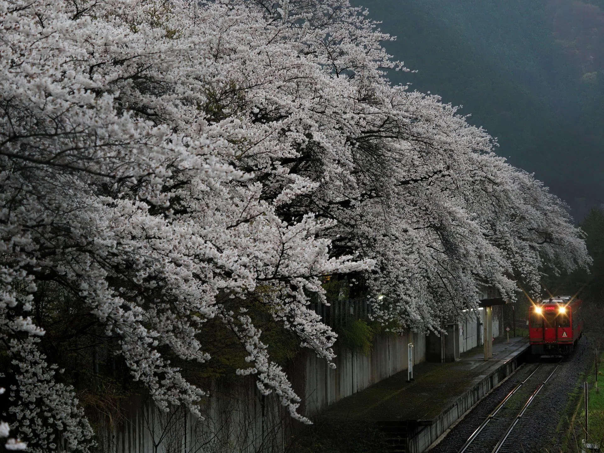 連載〉小竹直人・原初の鉄路風景 Vol.27 会津鉄道/芦ノ牧温泉南駅｜OM