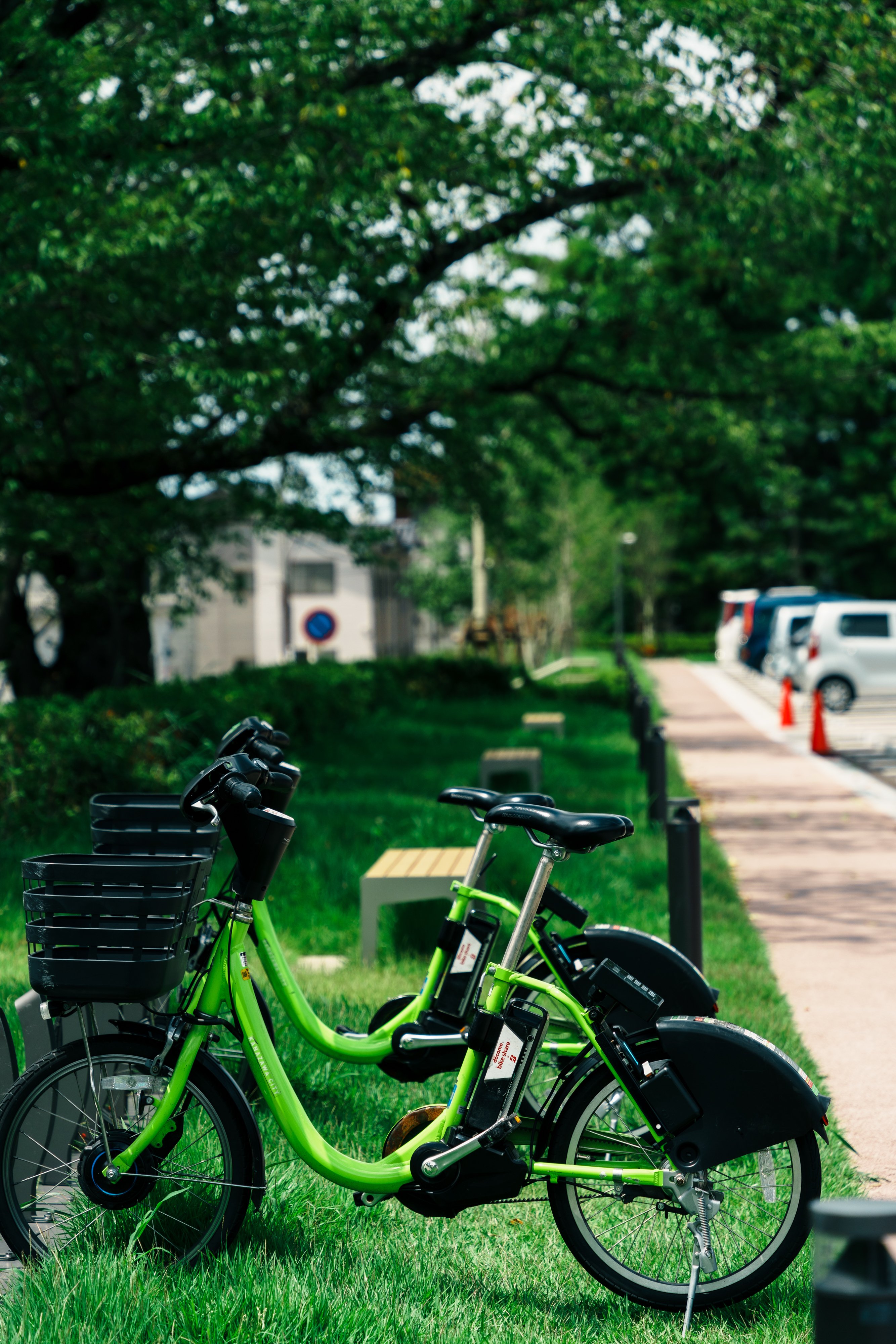 レンズ】Nokton Classic 40mm F1.4の魅力：今だからこそ輝くマニュアル