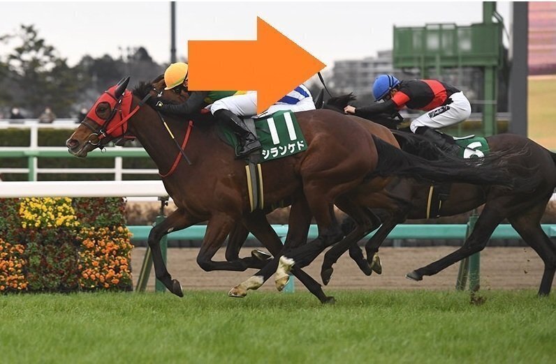 中山牝馬ステークス・フィリーズレビュー2026 サイン馬券｜JRA