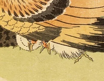 花鳥版画展」出品作⑦ 葛飾北斎《露草に鶏》天保3（1832）年頃｜毎日