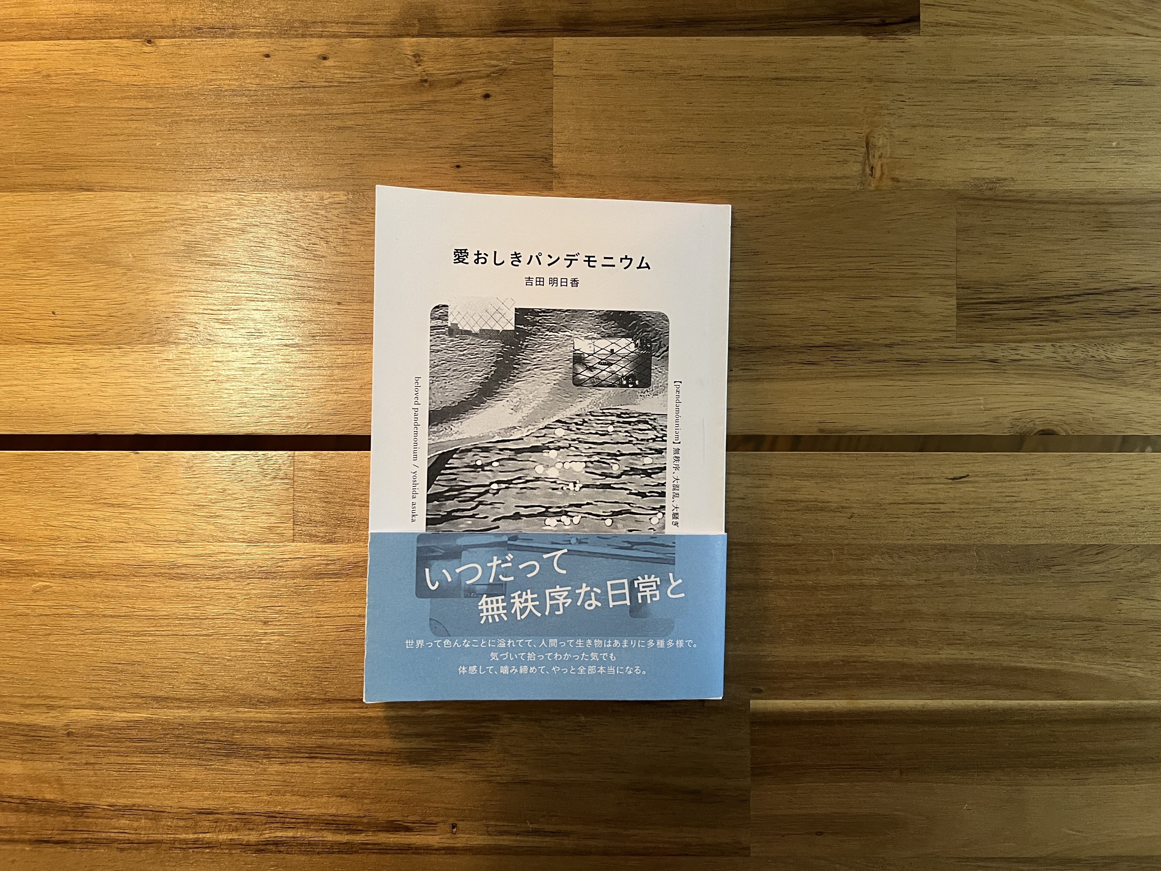 2026年1月のZINEPHONYで買った8冊のZINEの感想｜市根井直規 / 1nei