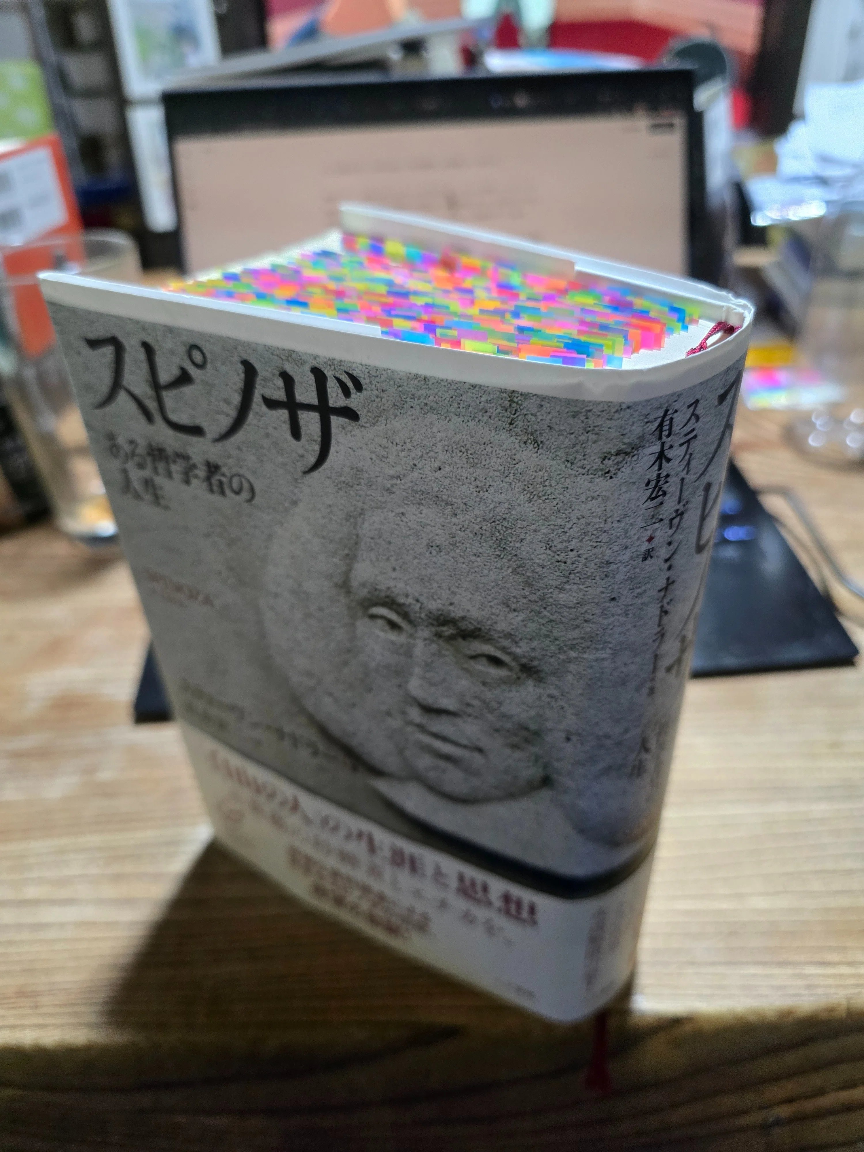 スピノザ関連書覚書_001／『スピノザ：ある哲学者の人生』｜浮沈成果