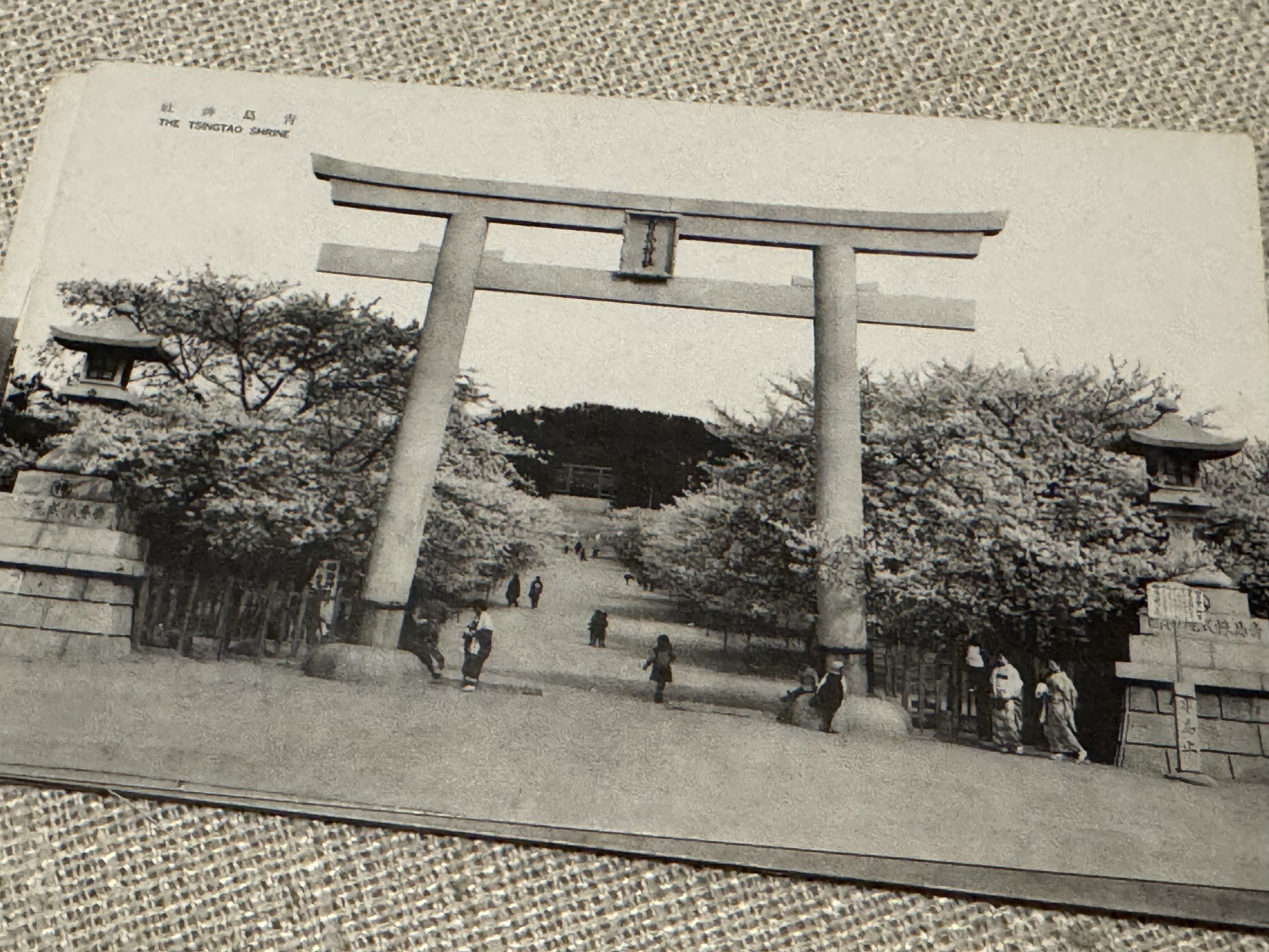 2025年にご寄贈いただいた大量の戦前絵葉書、整理つきましたー貴重品