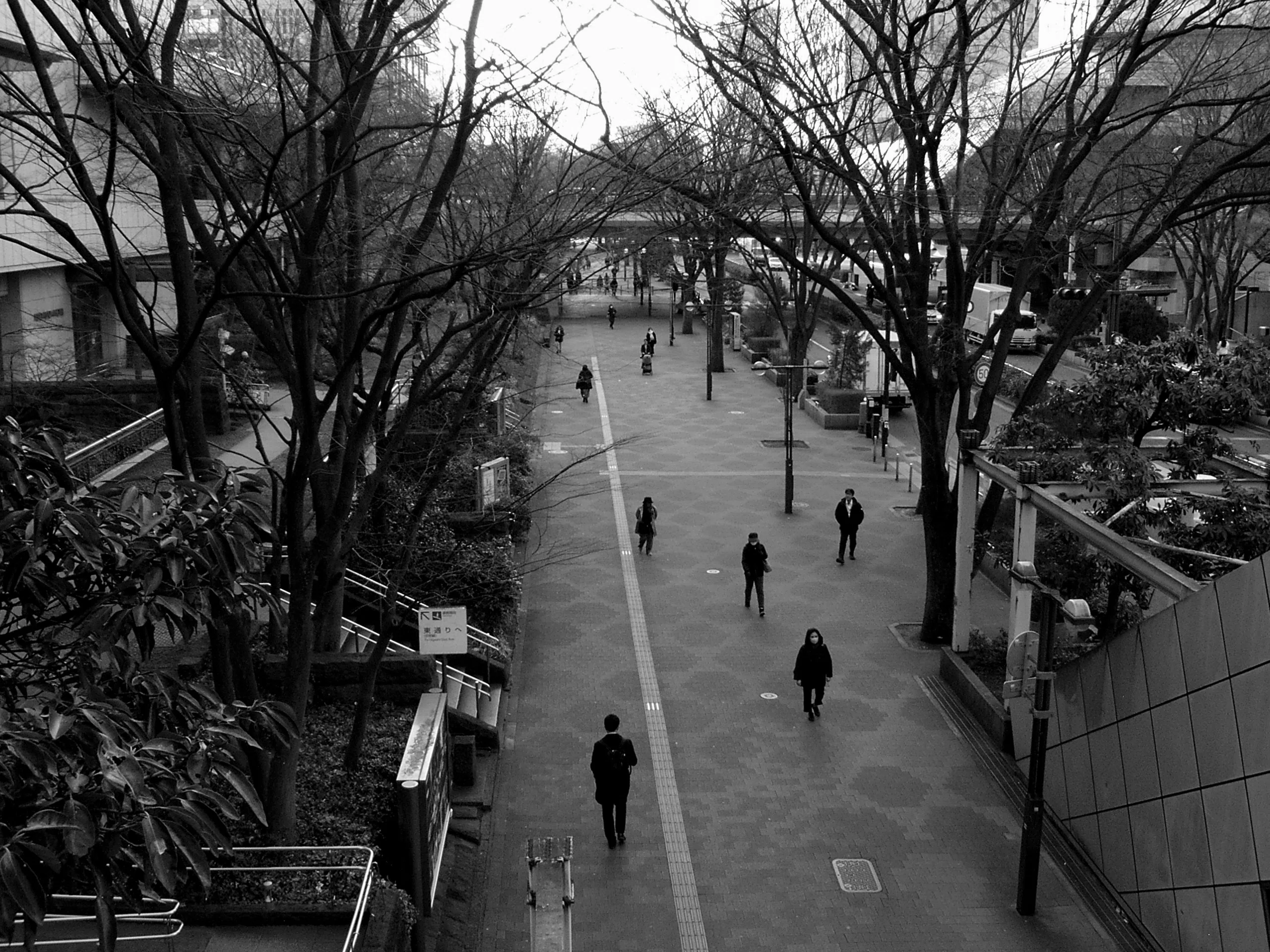20年前の500万画素CCDで描く、不便という名の贅沢。CONTAX Tvs DIGITAL