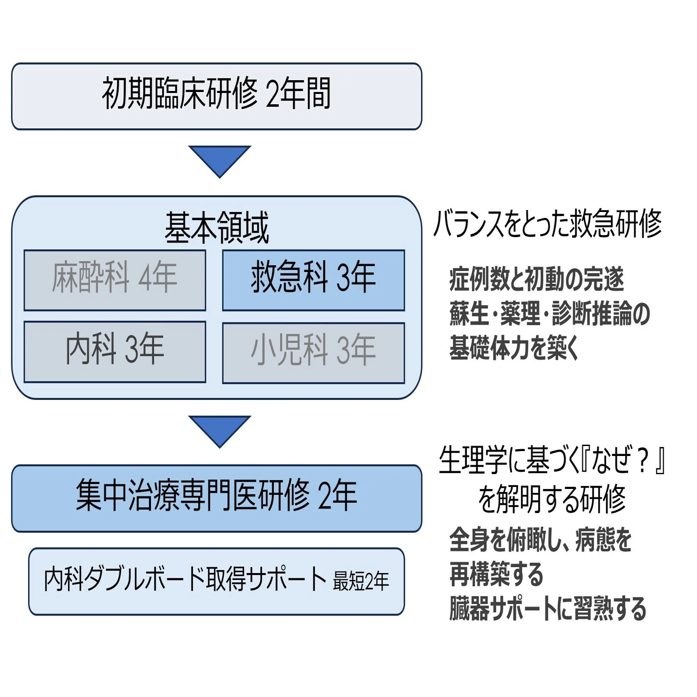 救急から集中治療へ。自治医大ICUが描く「攻め」と「守り」のキャリア 