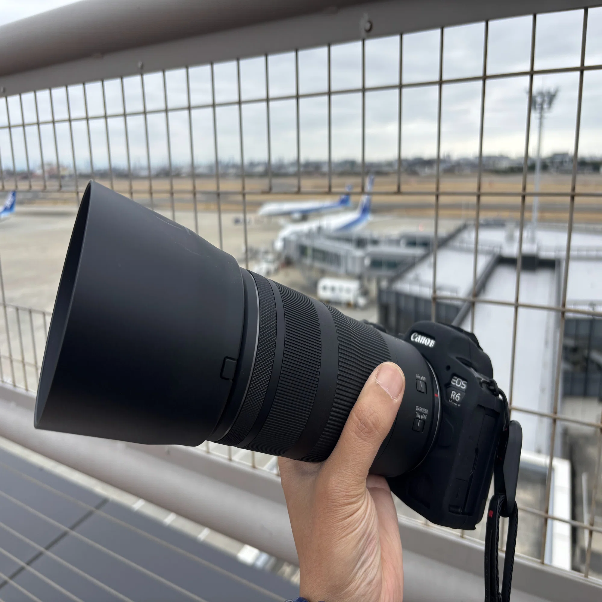2026年2月 EOS R6 Mark II購入｜忍