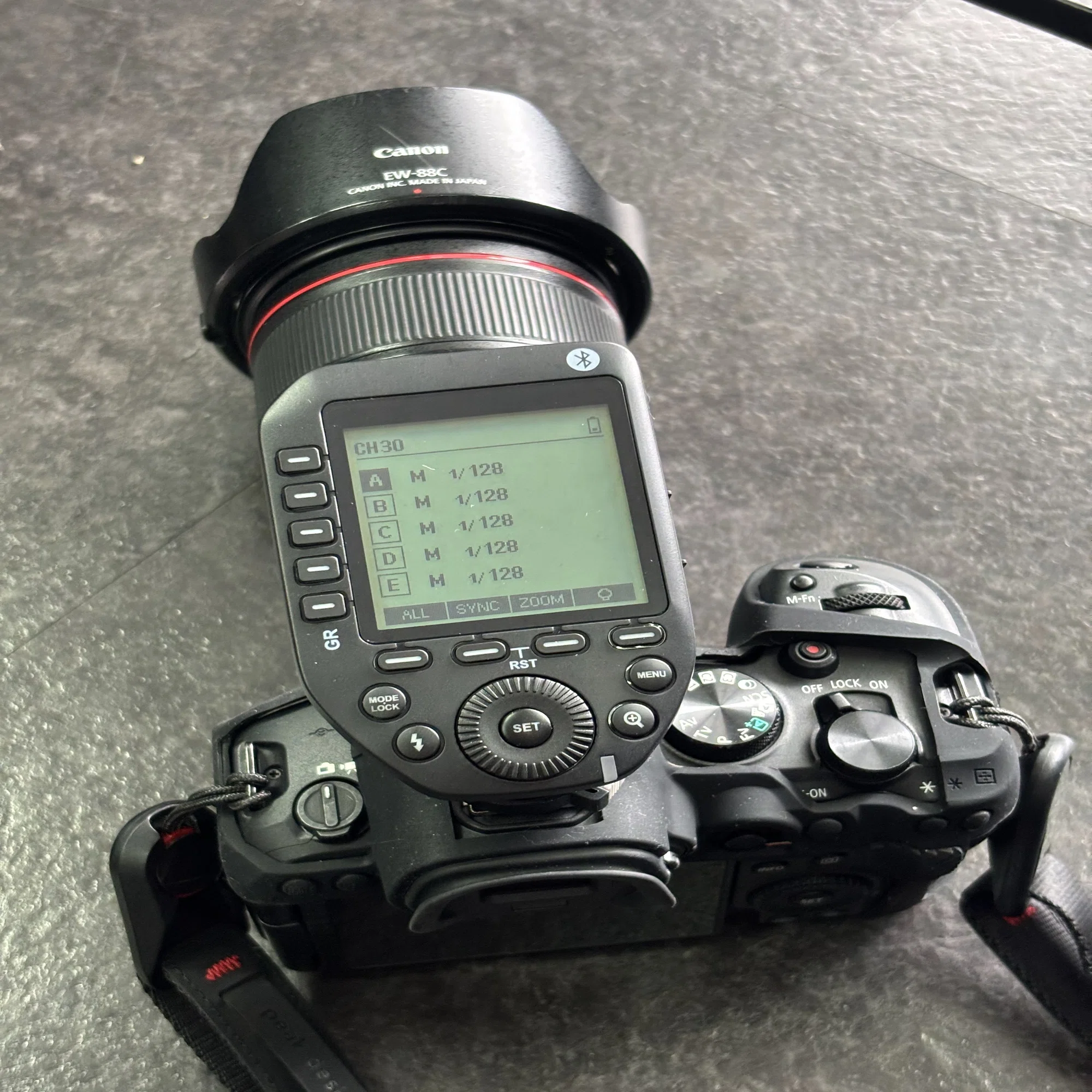 2026年2月 EOS R6 Mark II購入｜忍