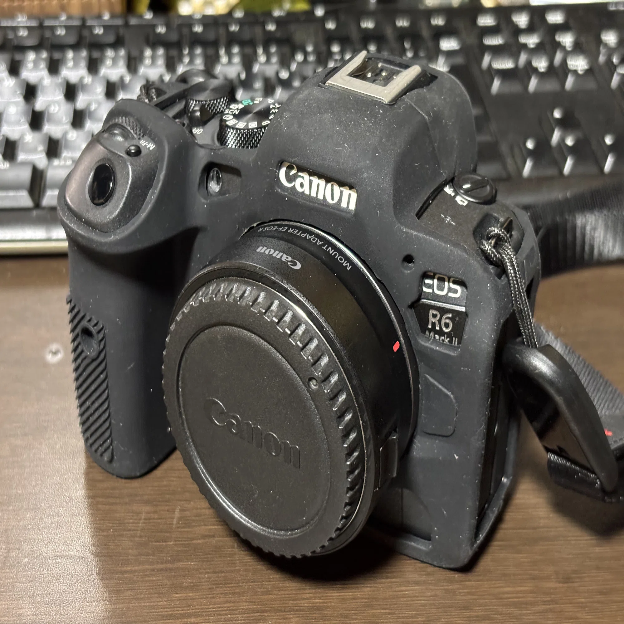 2026年2月 EOS R6 Mark II購入｜忍