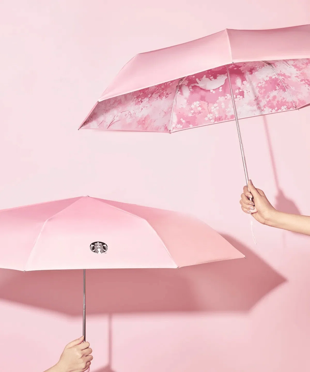 日本でも買える！】韓国スタバ2026春新作グッズ12選🌸絶対欲しい！桜
