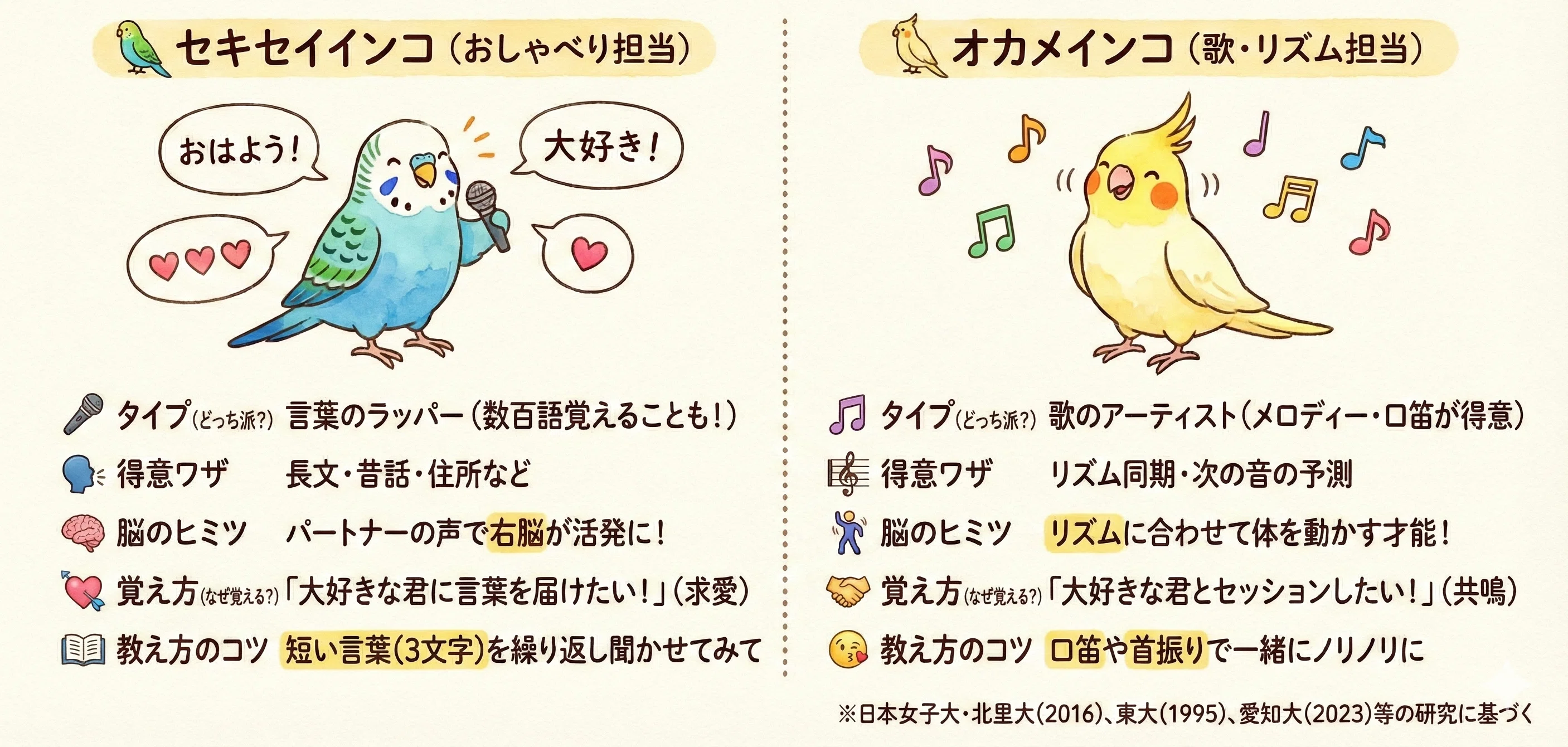 オカメインコ 覚え やすい 歌