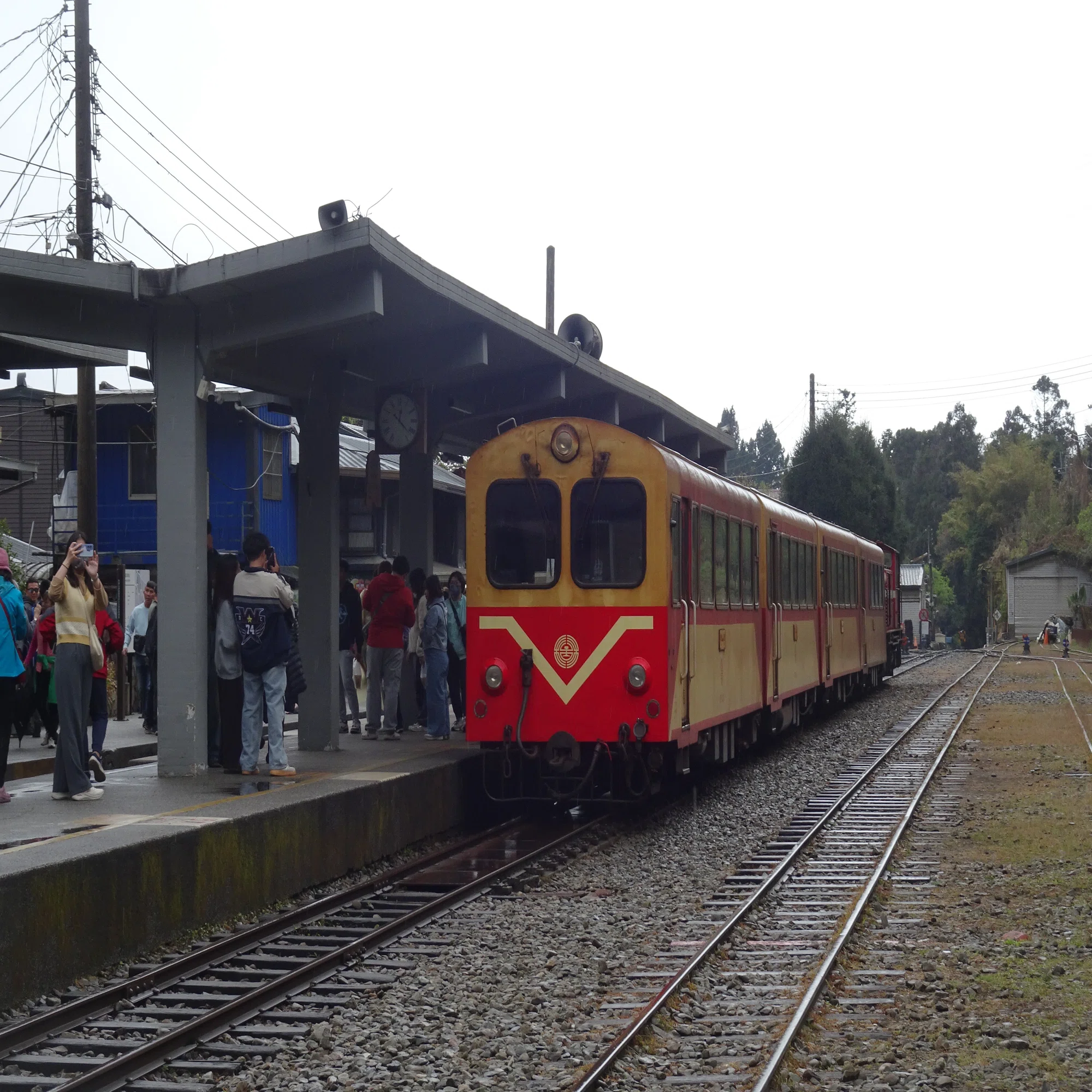 桜の奮起湖駅で阿里山鉄道に出会い名物駅弁を味わう旅1～偶然車両の