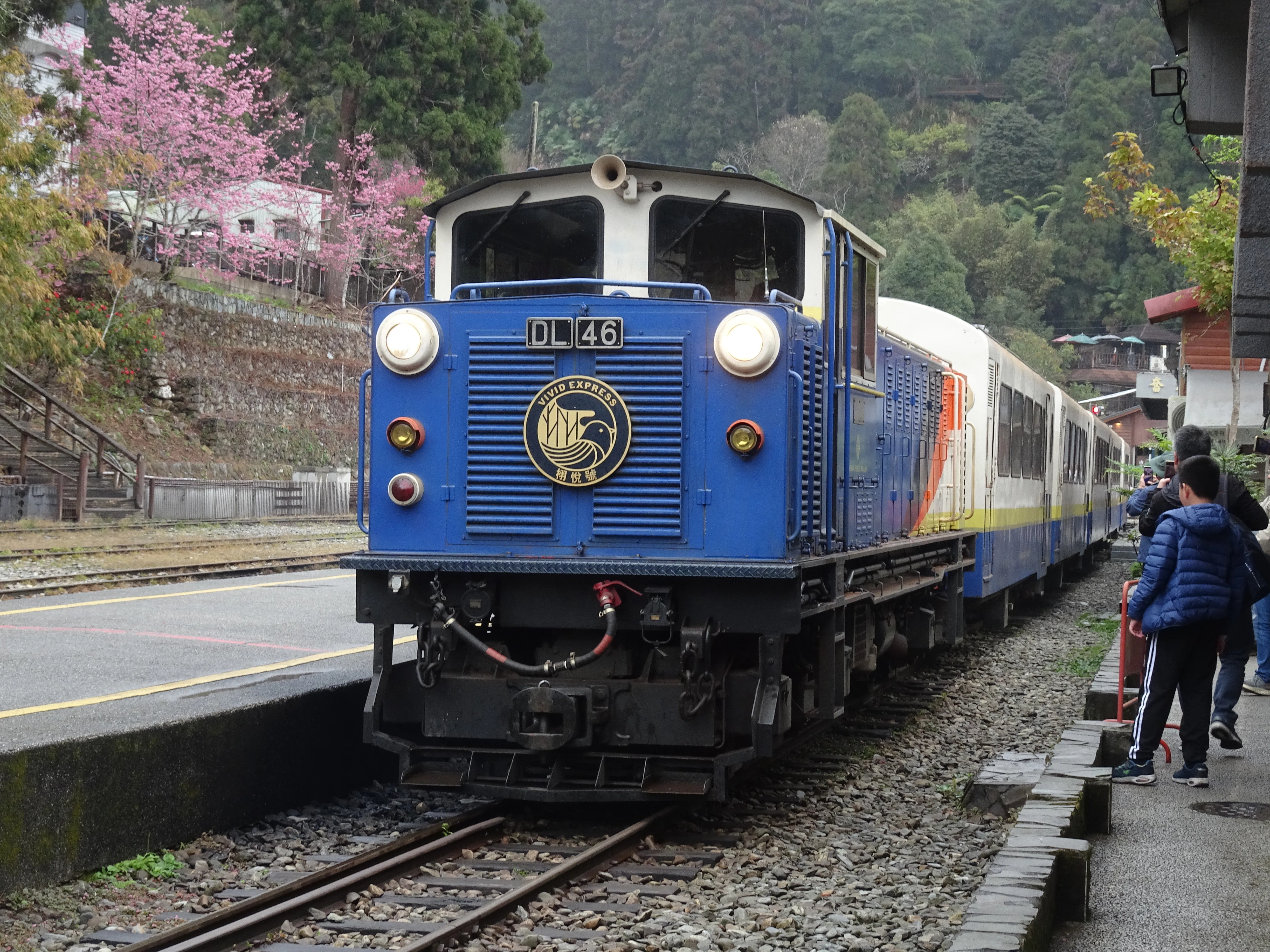 桜の奮起湖駅で阿里山鉄道に出会い名物駅弁を味わう旅1～偶然車両の