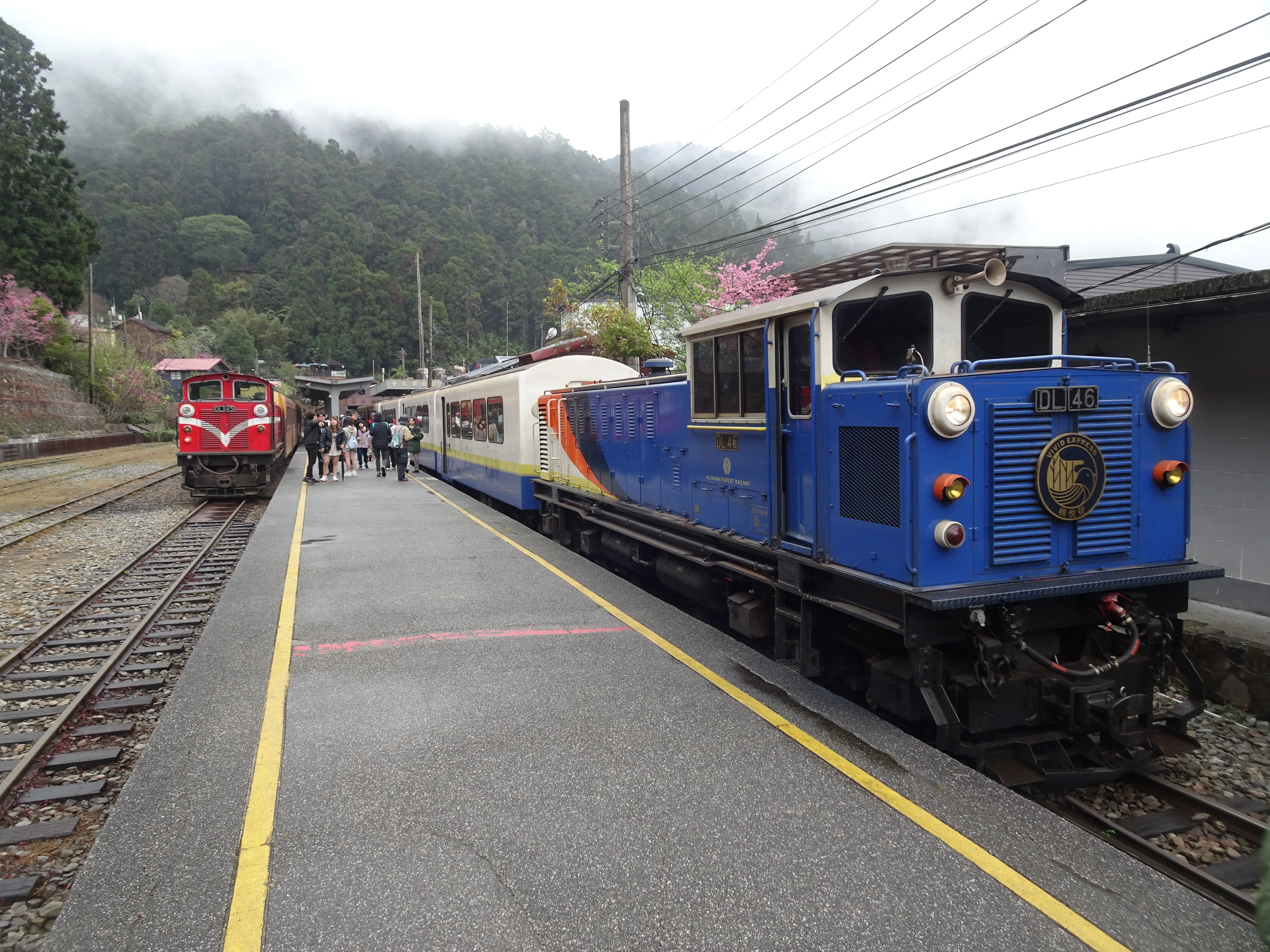 桜の奮起湖駅で阿里山鉄道に出会い名物駅弁を味わう旅1～偶然車両の