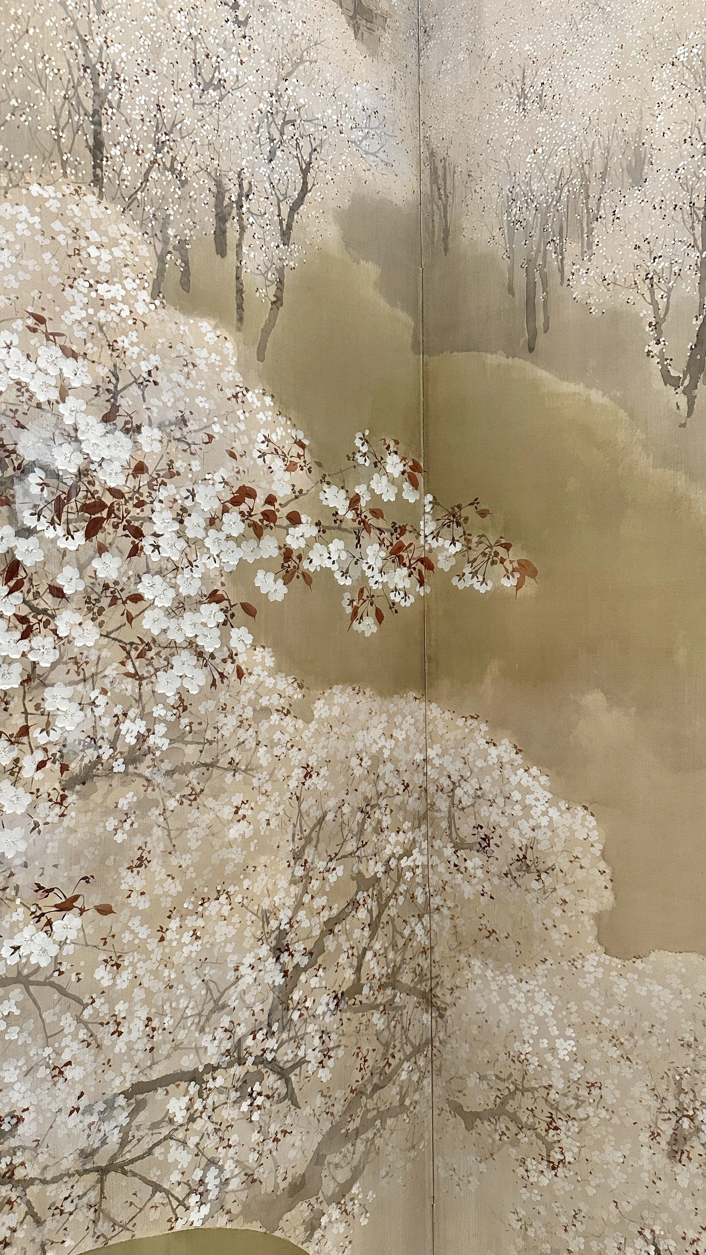 雨上がりの花見日和｜無為の茶客 | Kazuo Yoshida