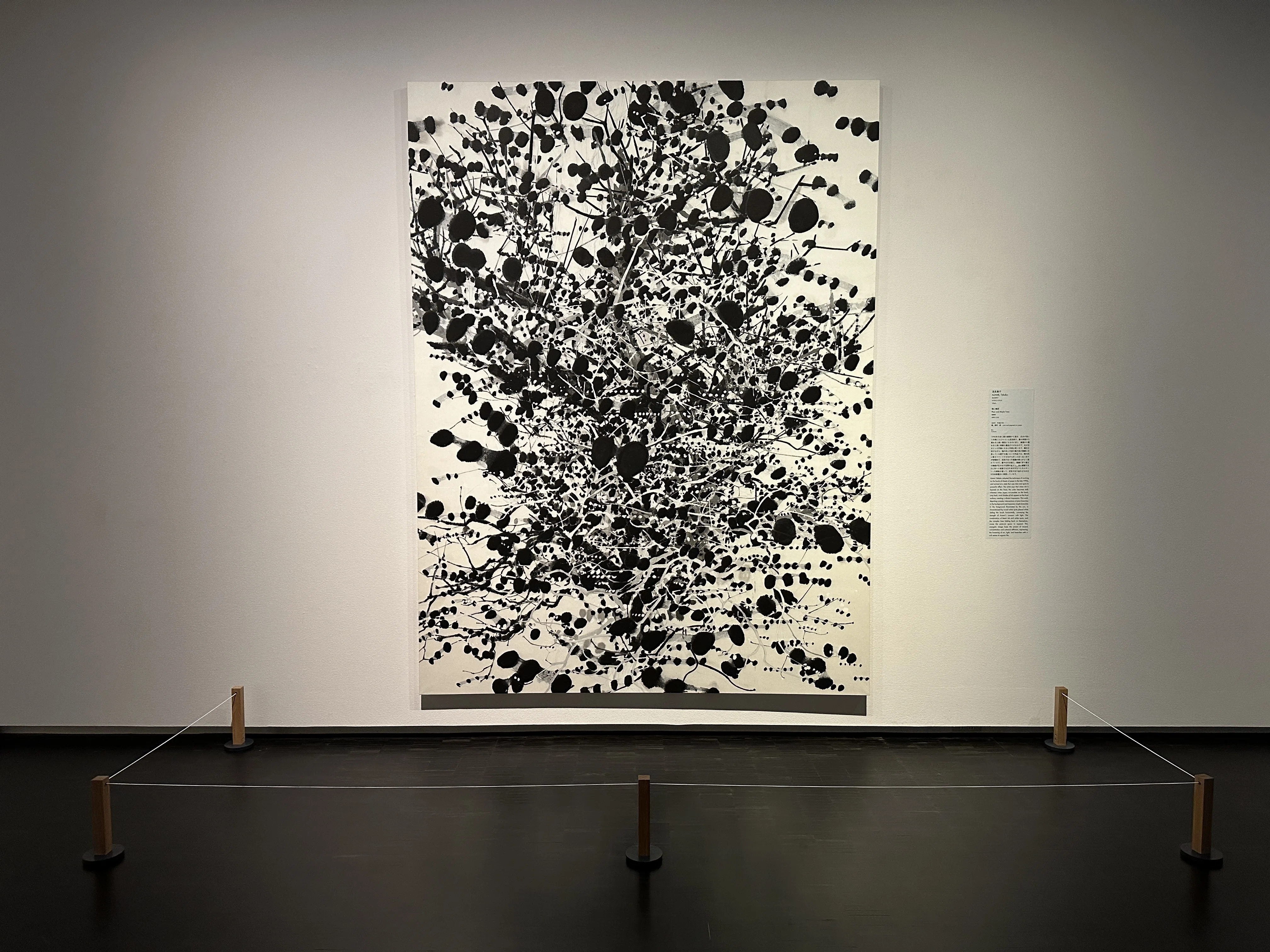 雨上がりの花見日和｜無為の茶客 | Kazuo Yoshida