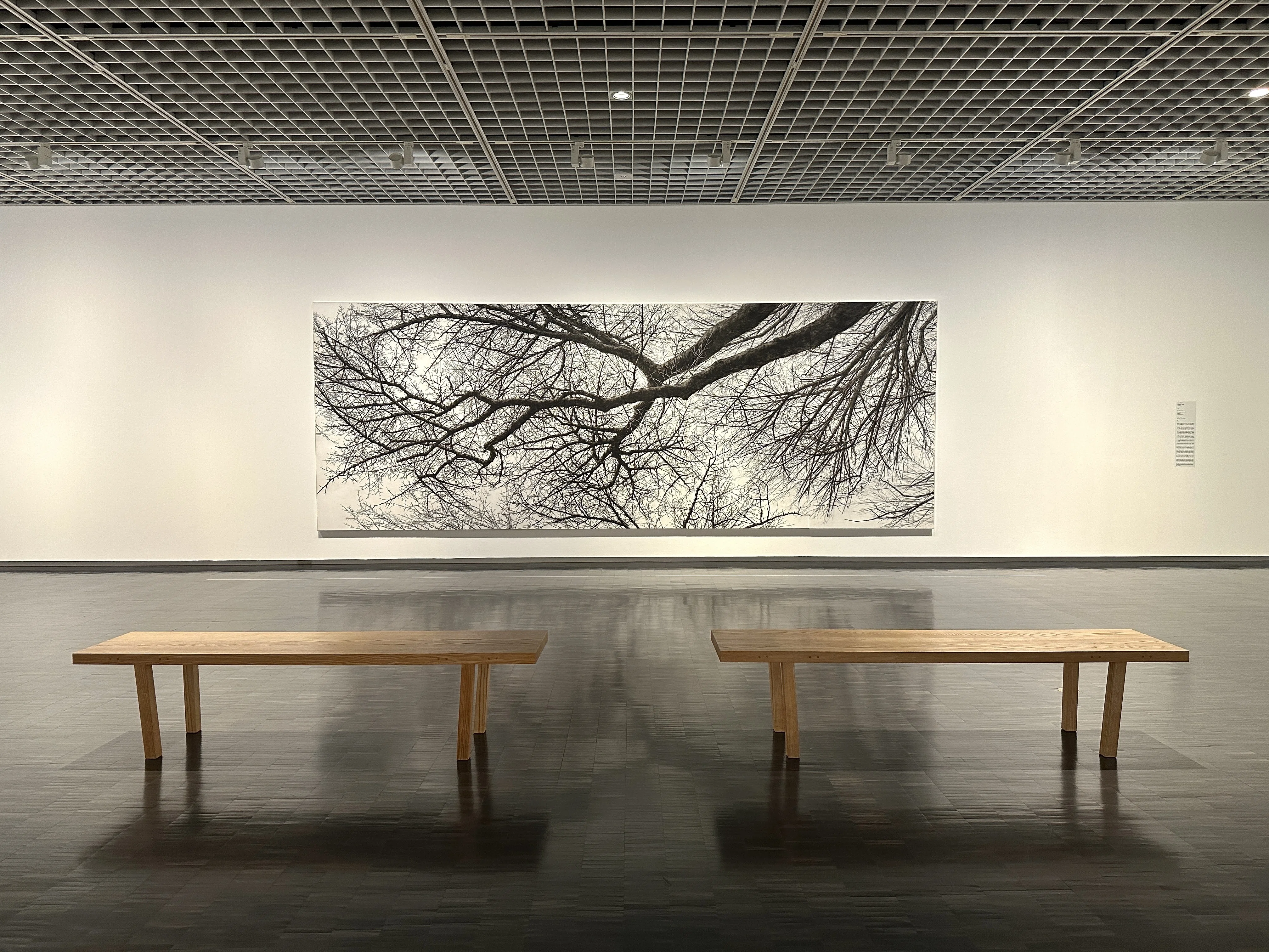 雨上がりの花見日和｜無為の茶客 | Kazuo Yoshida
