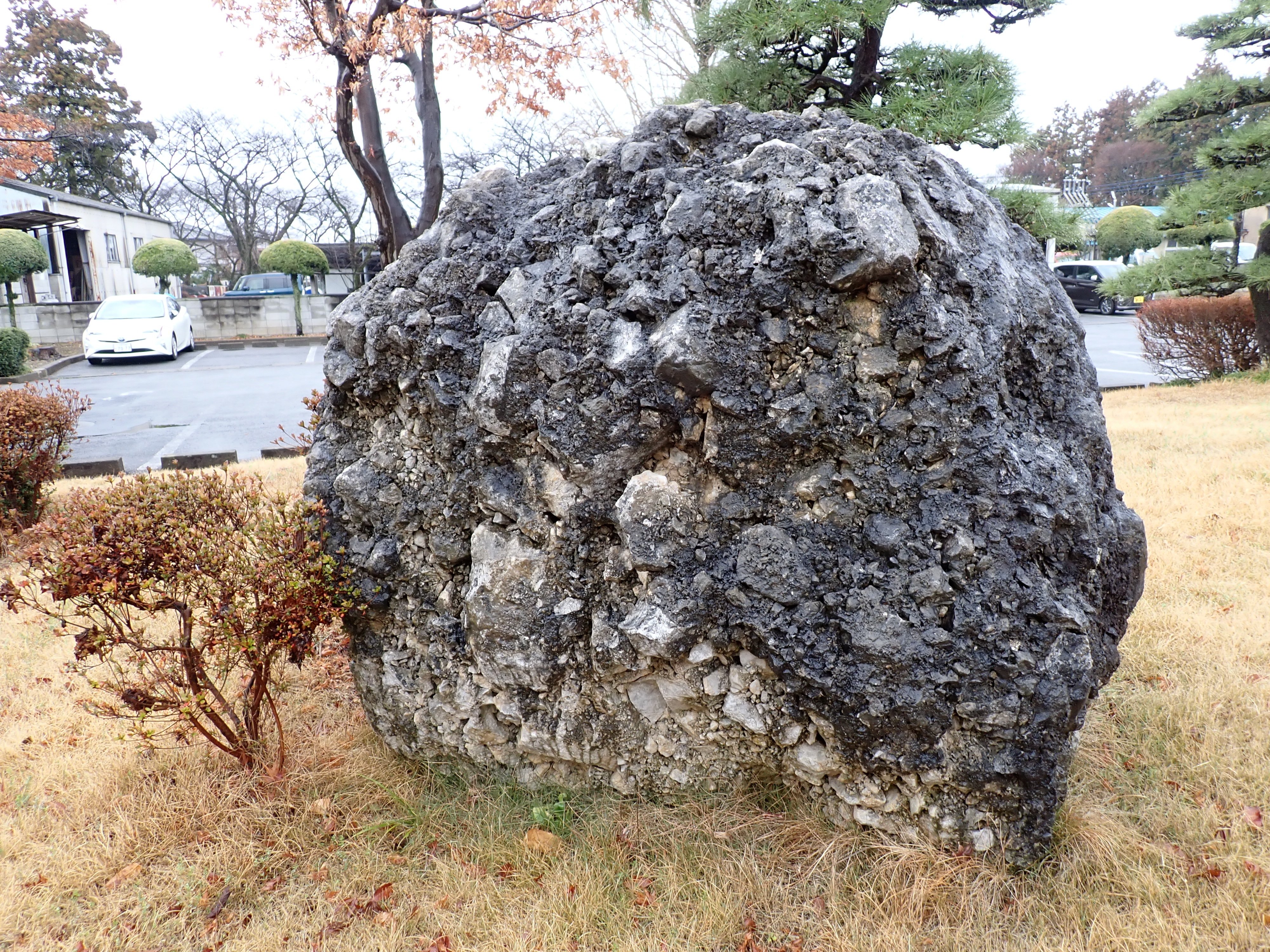 さざれ石｜マンガン
