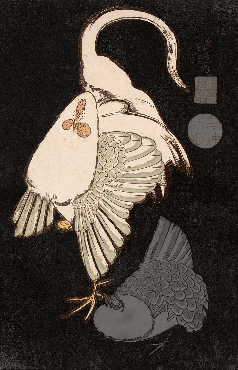 花鳥版画展」出品作⑧ 伊藤若冲《雌雄鶏図》明和期（1764-1772年頃