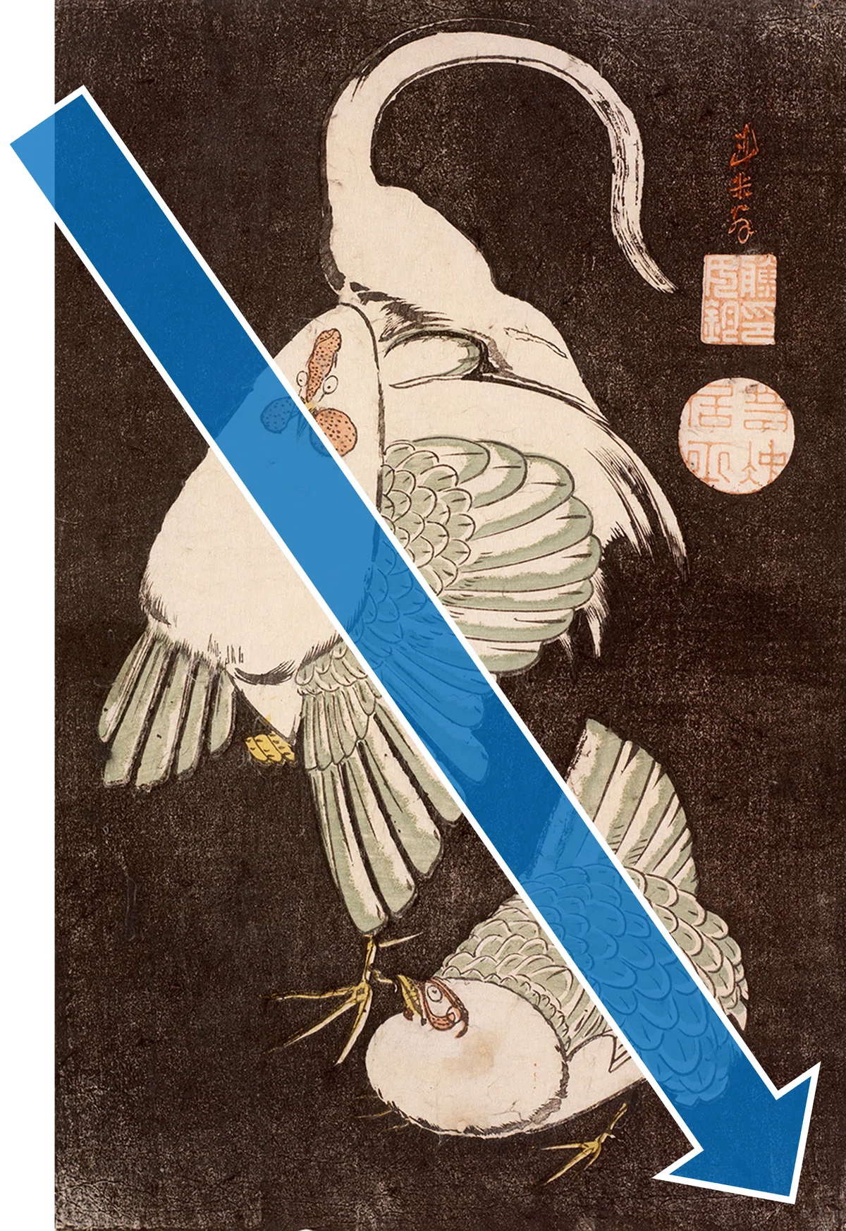 花鳥版画展」出品作⑧ 伊藤若冲《雌雄鶏図》明和期（1764-1772年頃