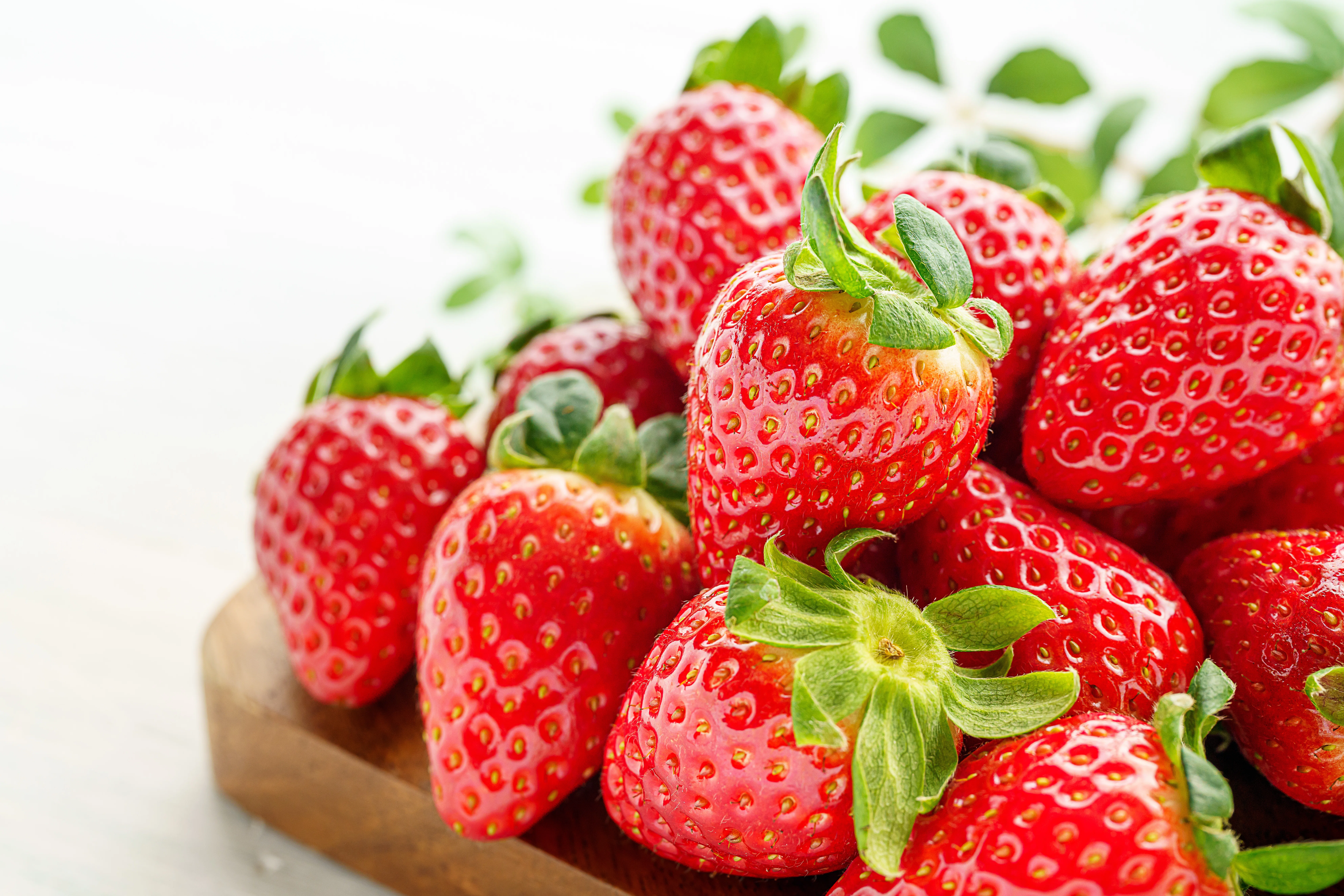 🍓歩いて、食べて、健幸に！「草津のいちごの1か月。」を満喫しよう