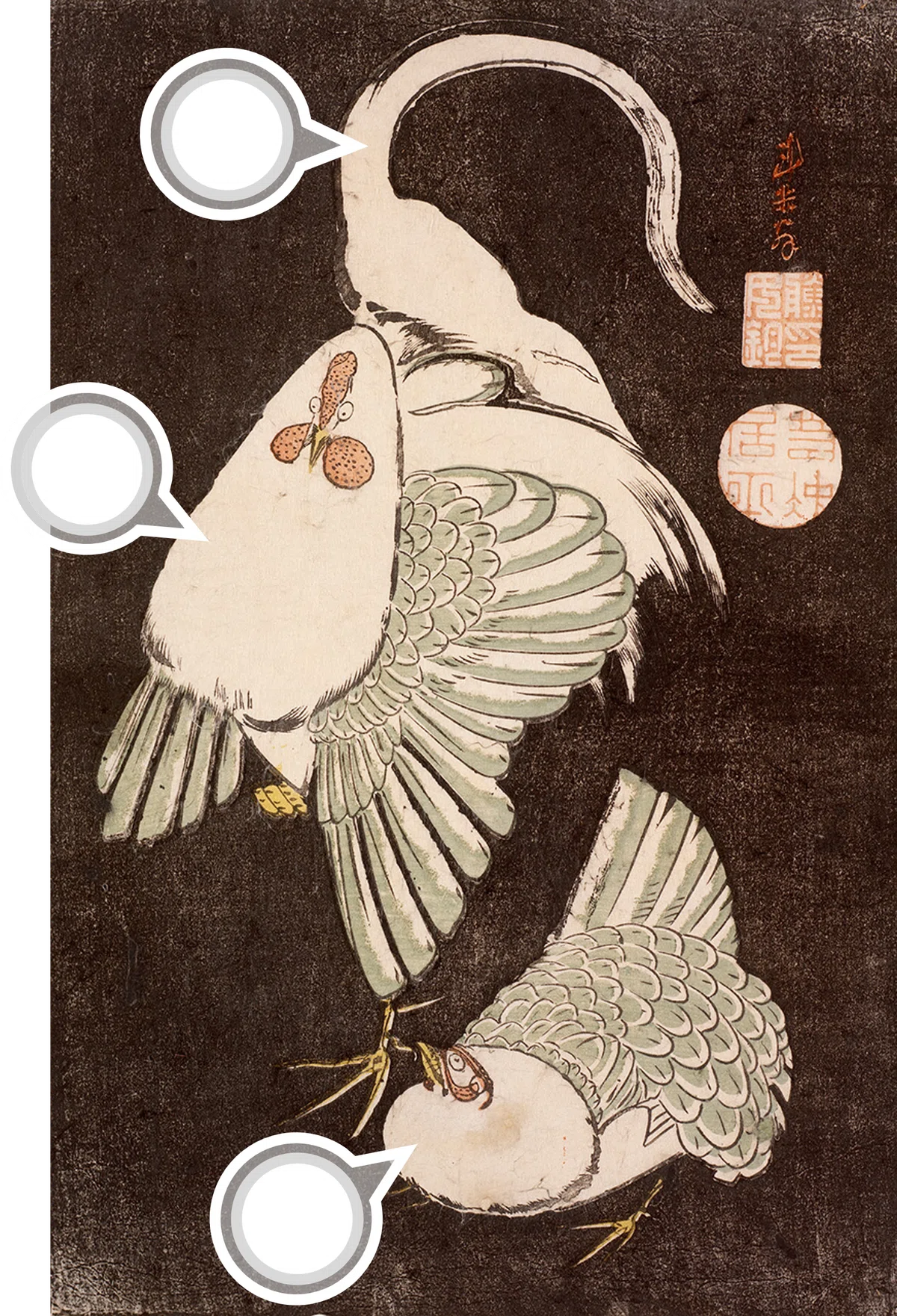 Bird-and-Flower Print Exhibition