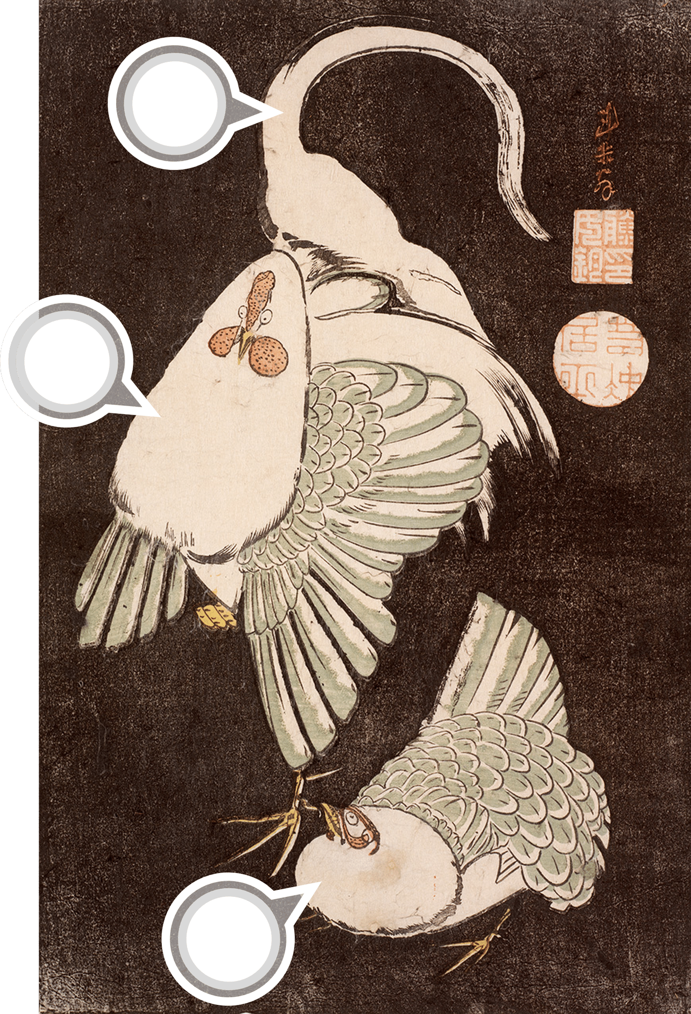 花鳥版画展」出品作⑧ 伊藤若冲《雌雄鶏図》明和期(1764-1772年頃 花鳥版画展」出品作⑧ 伊藤若冲《雌雄鶏図》明和期(1764-1772年頃