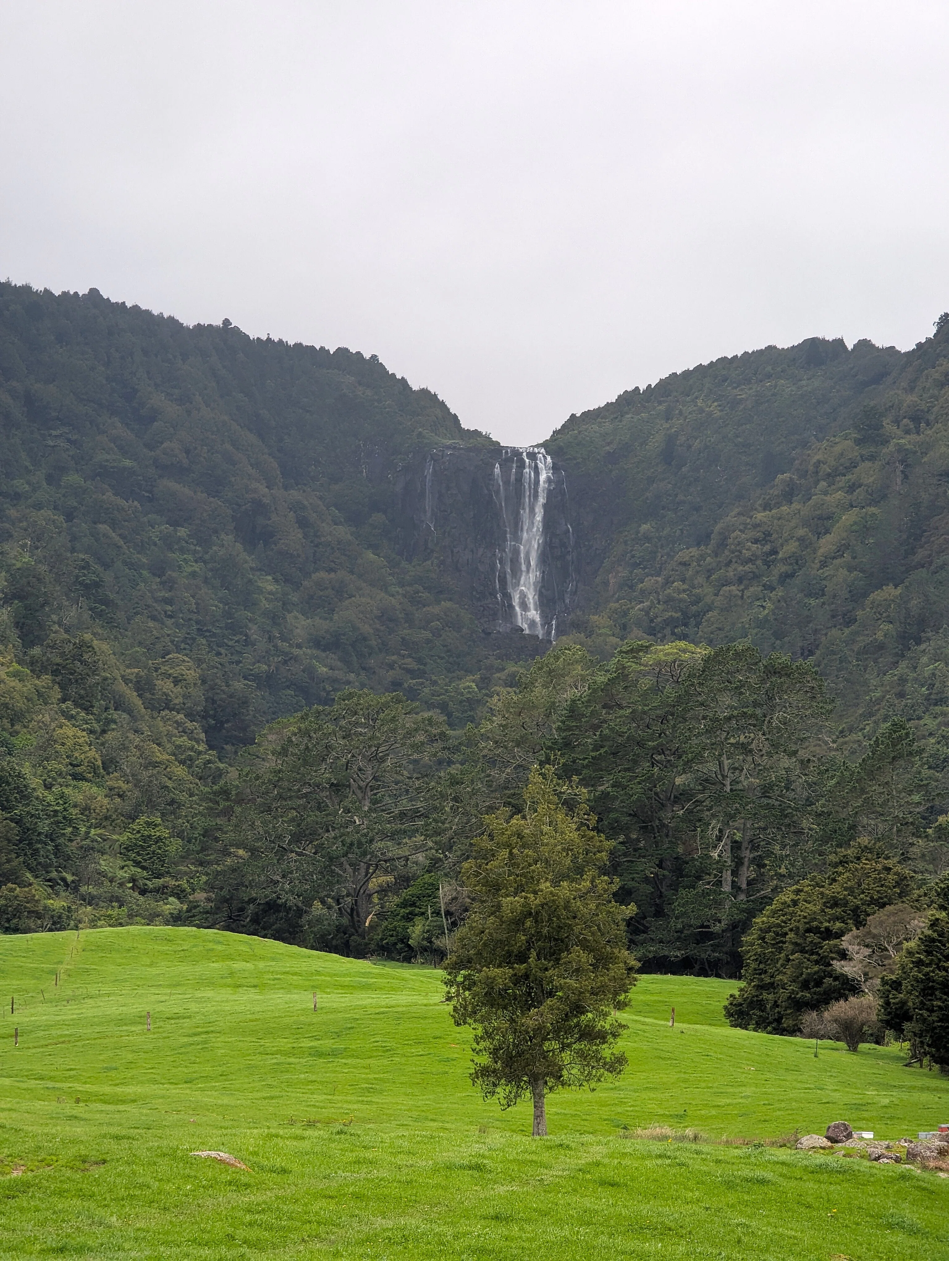 旅好きの私が本気で感動した、ニュージーランド縦断の絶景ストーリー