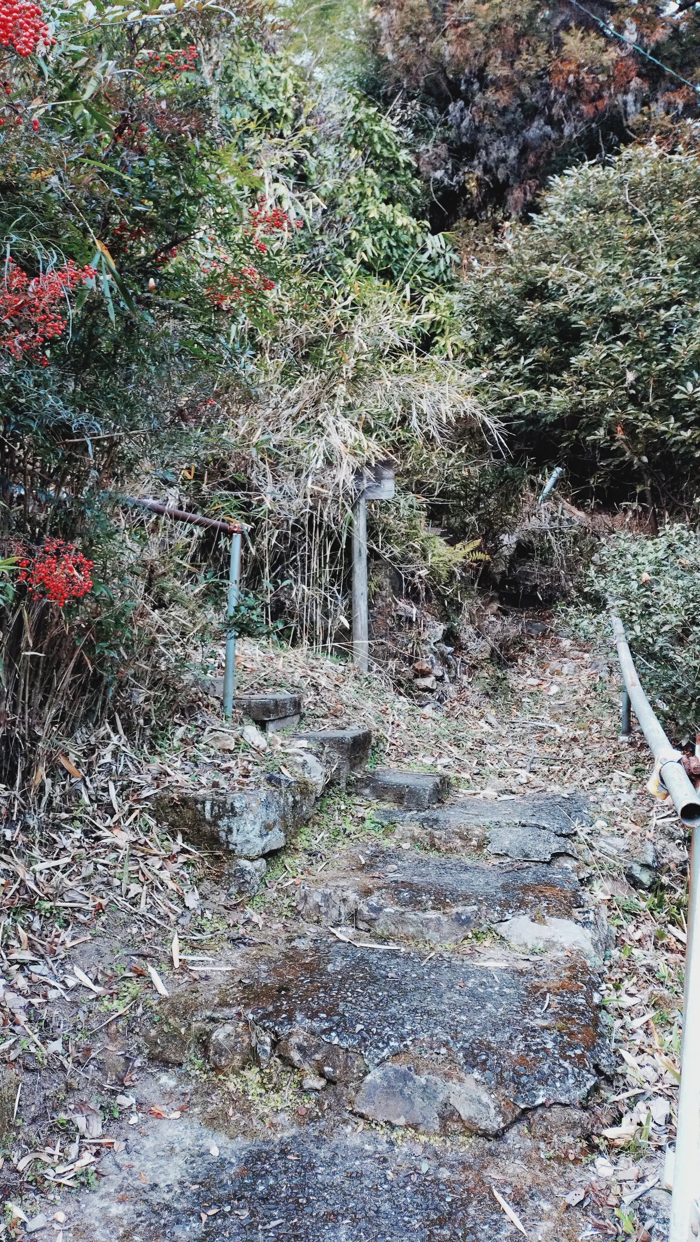 水掛地蔵|masami 水掛地蔵|masami