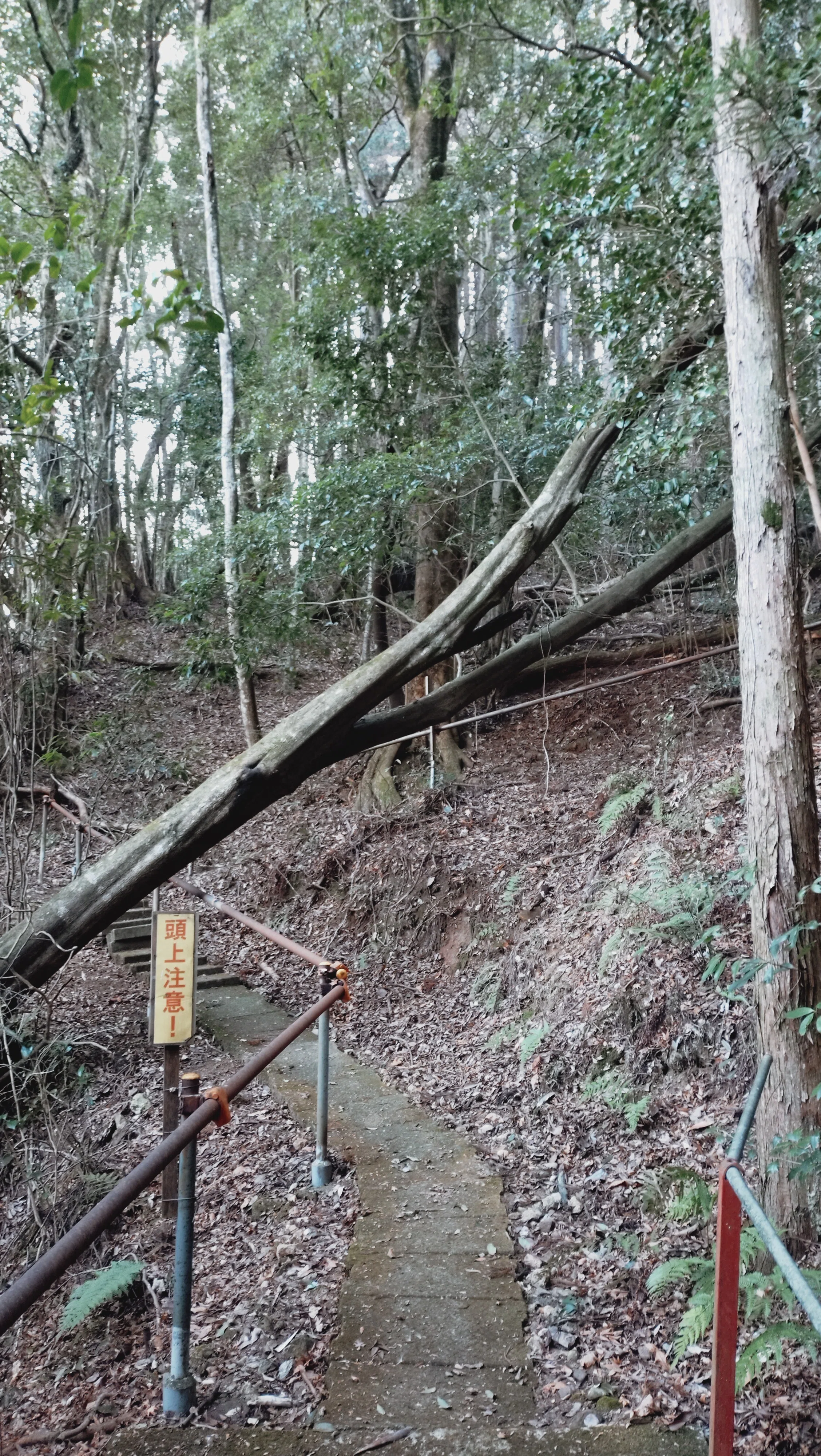 水掛地蔵｜masami