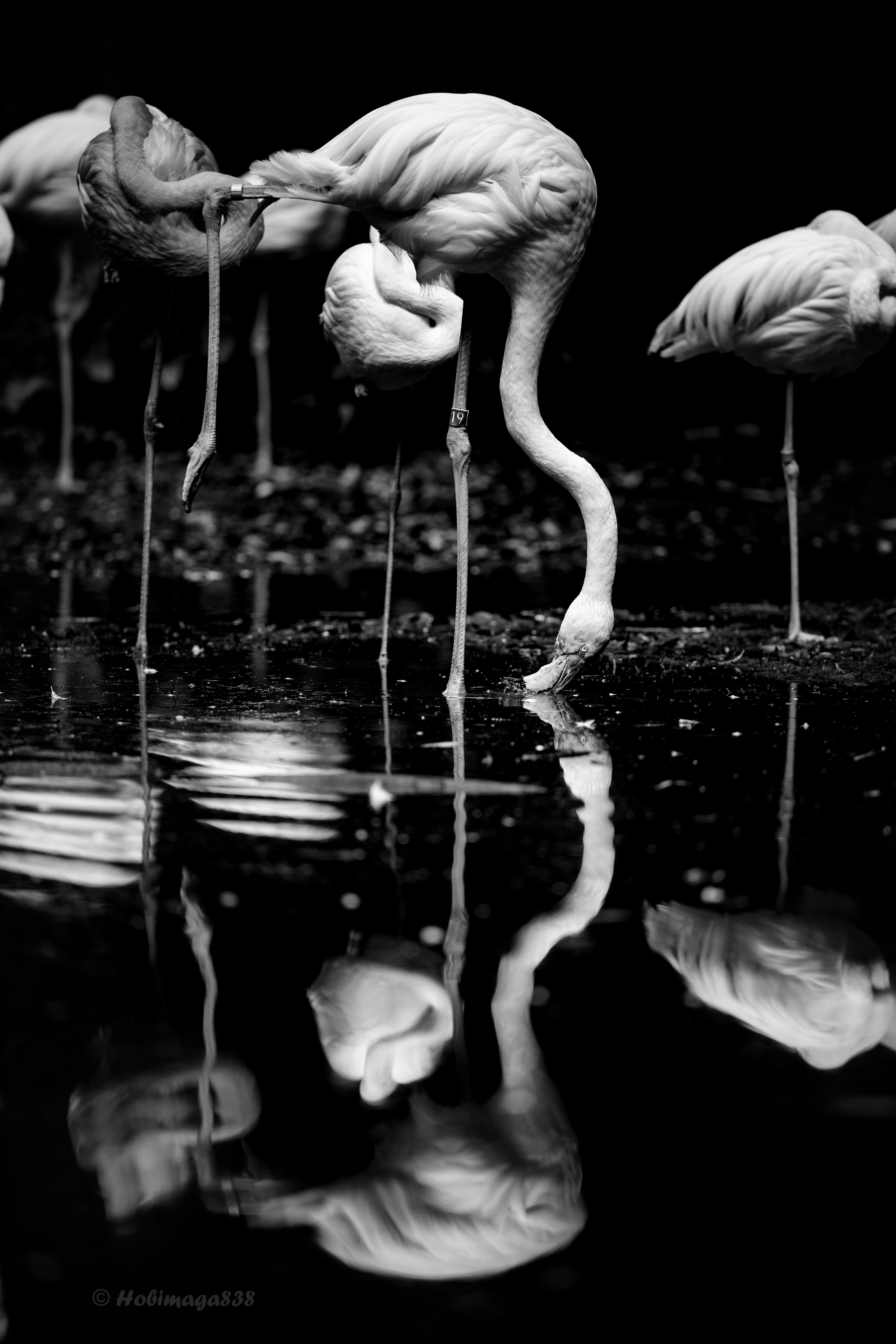 2型は買えない。なので1型を強引に褒めてみた。（Z70-200 f2.8 VRS Ⅱ