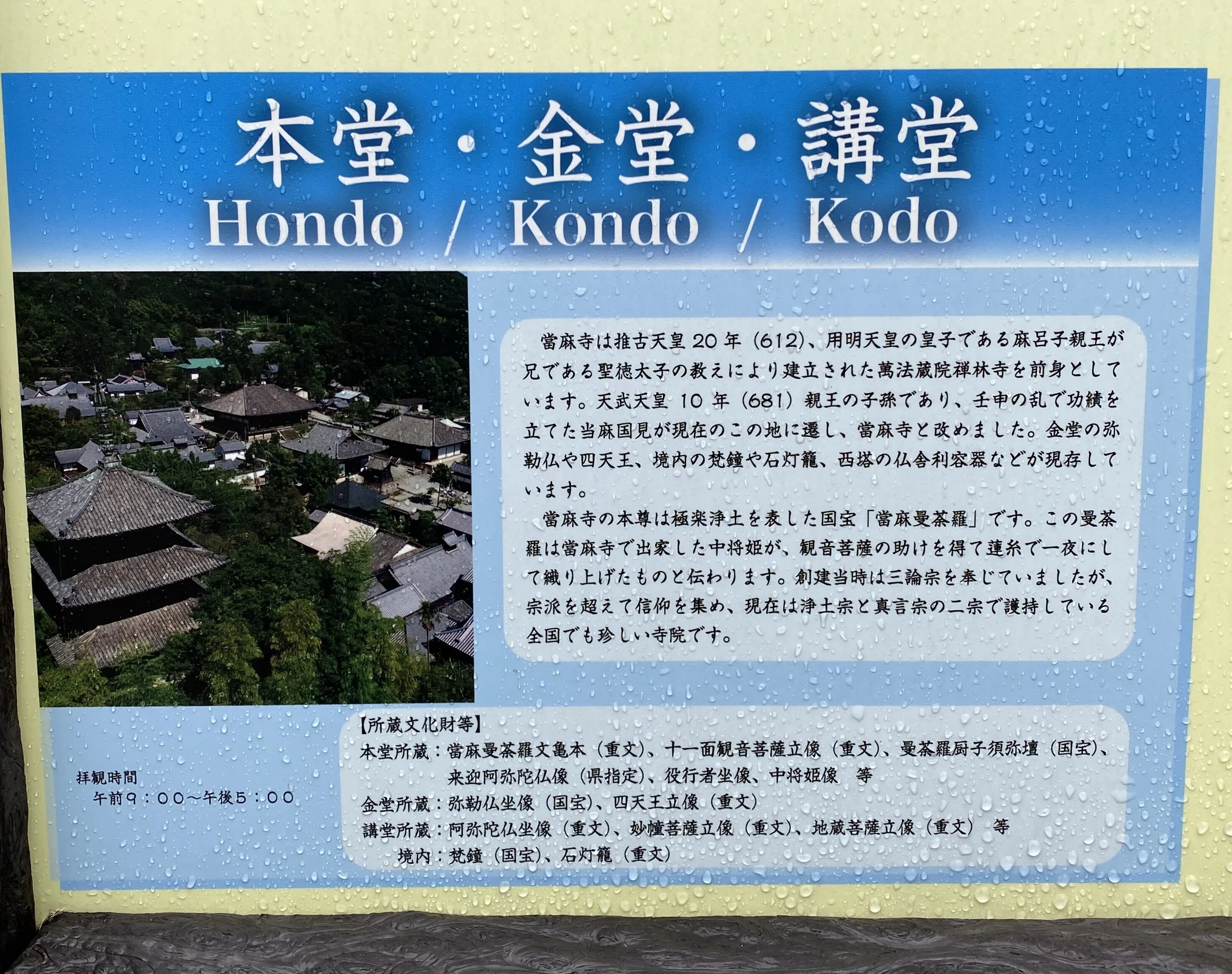 十島様へ日本画 魚とマンダラ 公式通販 of 書評のページ 本だな ID Pay