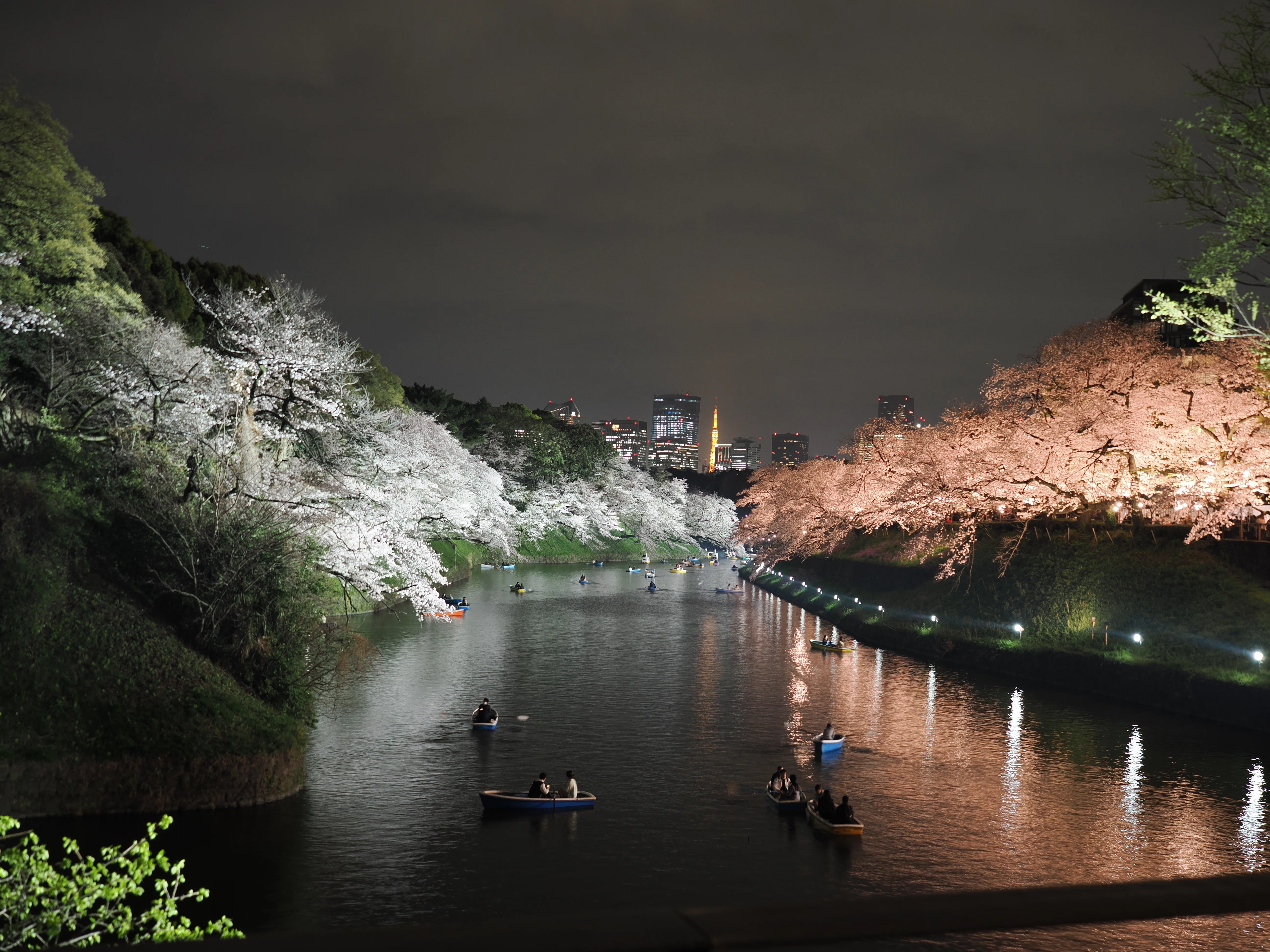 今年もまた「桜とか上手く撮れない」って嘆く季節がやってきます。｜平