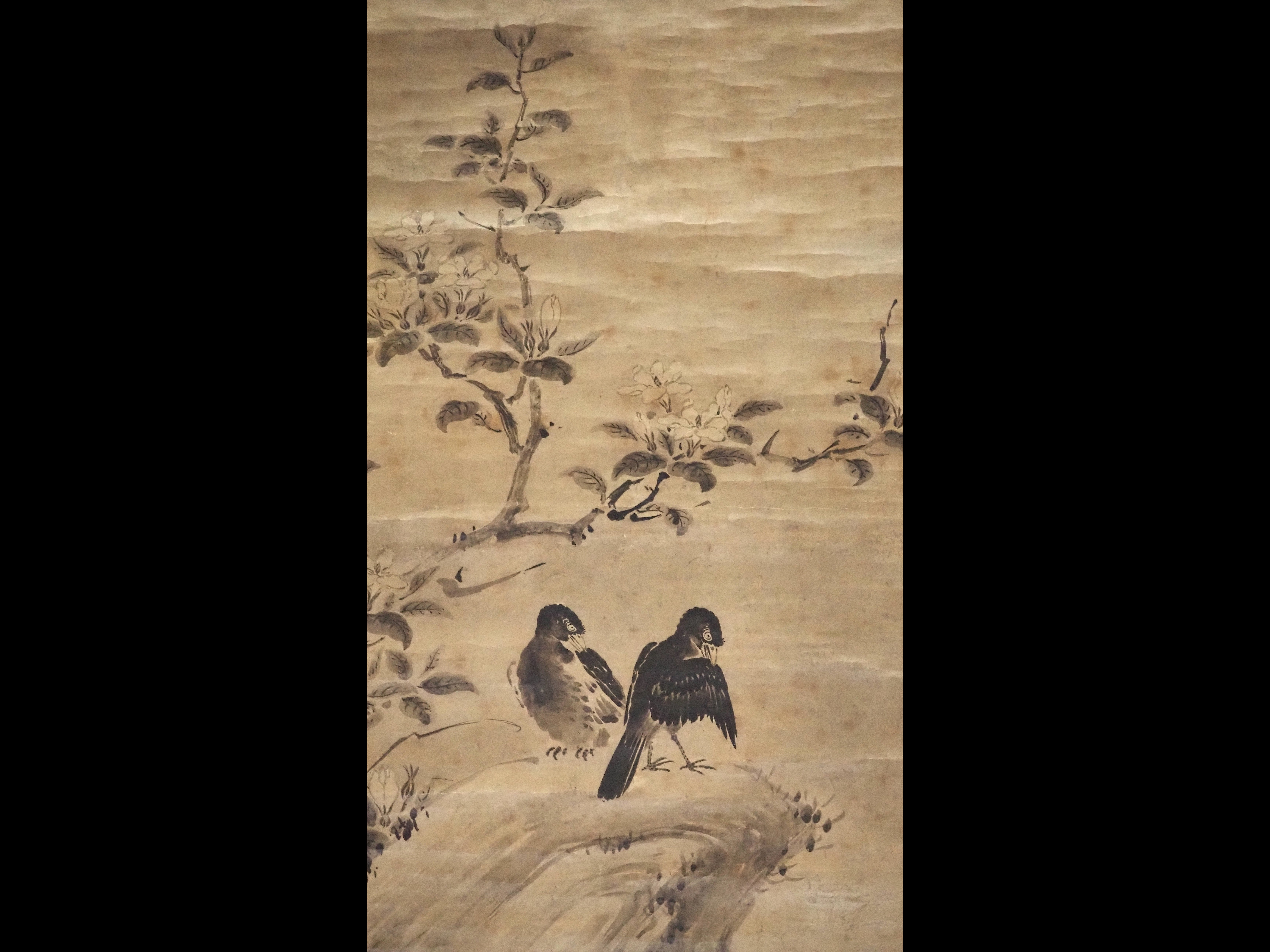 絵の中から飛び立つかと思った狩野永徳の父…狩野松栄さんの《梅に小禽